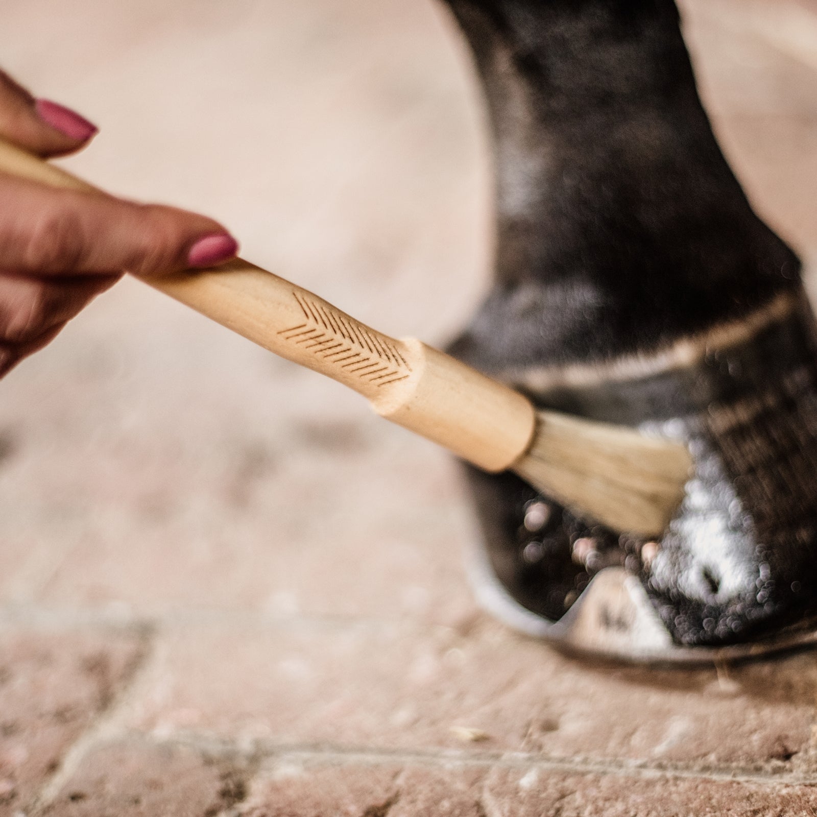 Grooming Deluxe Hoof Pencil Horse Health Care