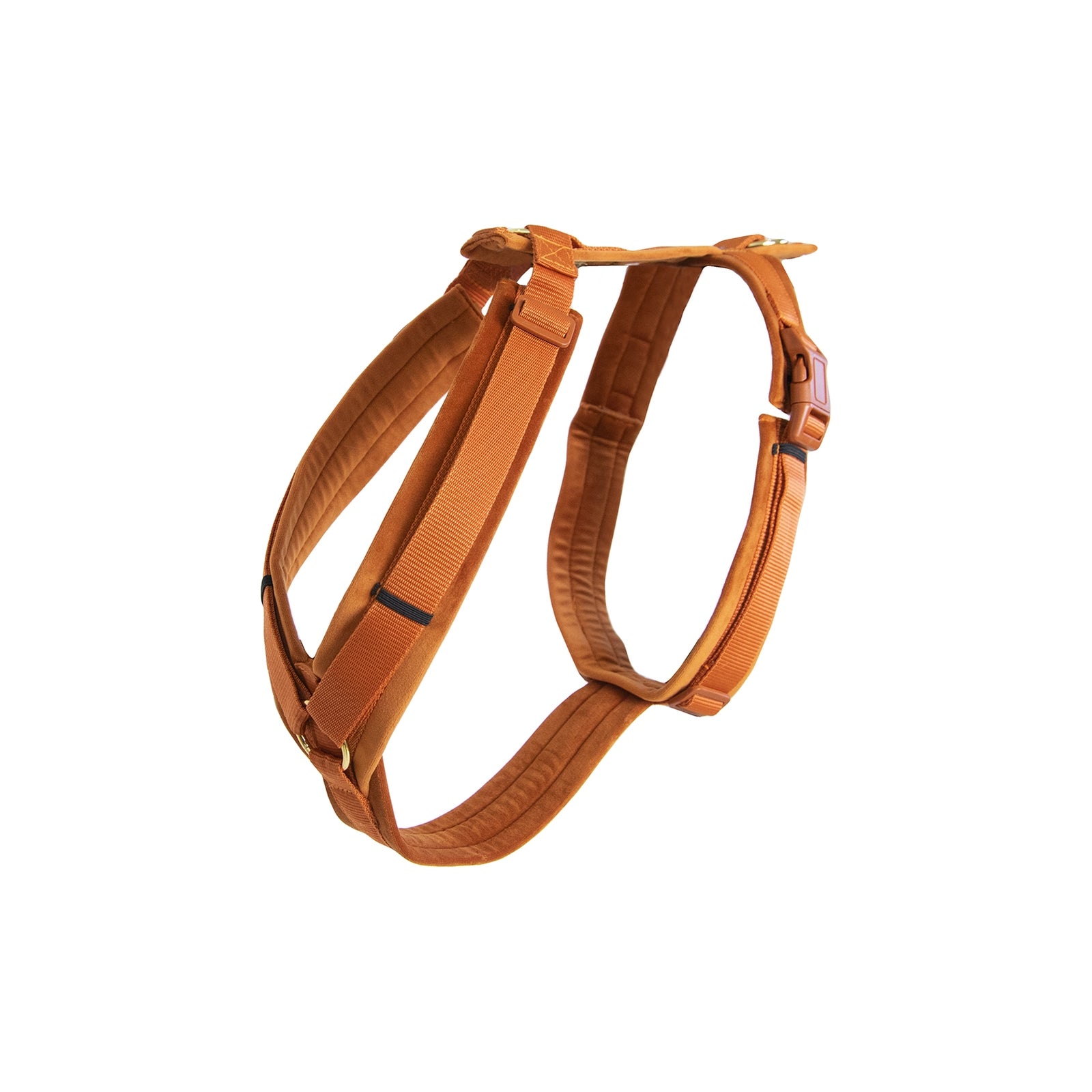 Kentucky Dogwear Velvet Active Harness Hund