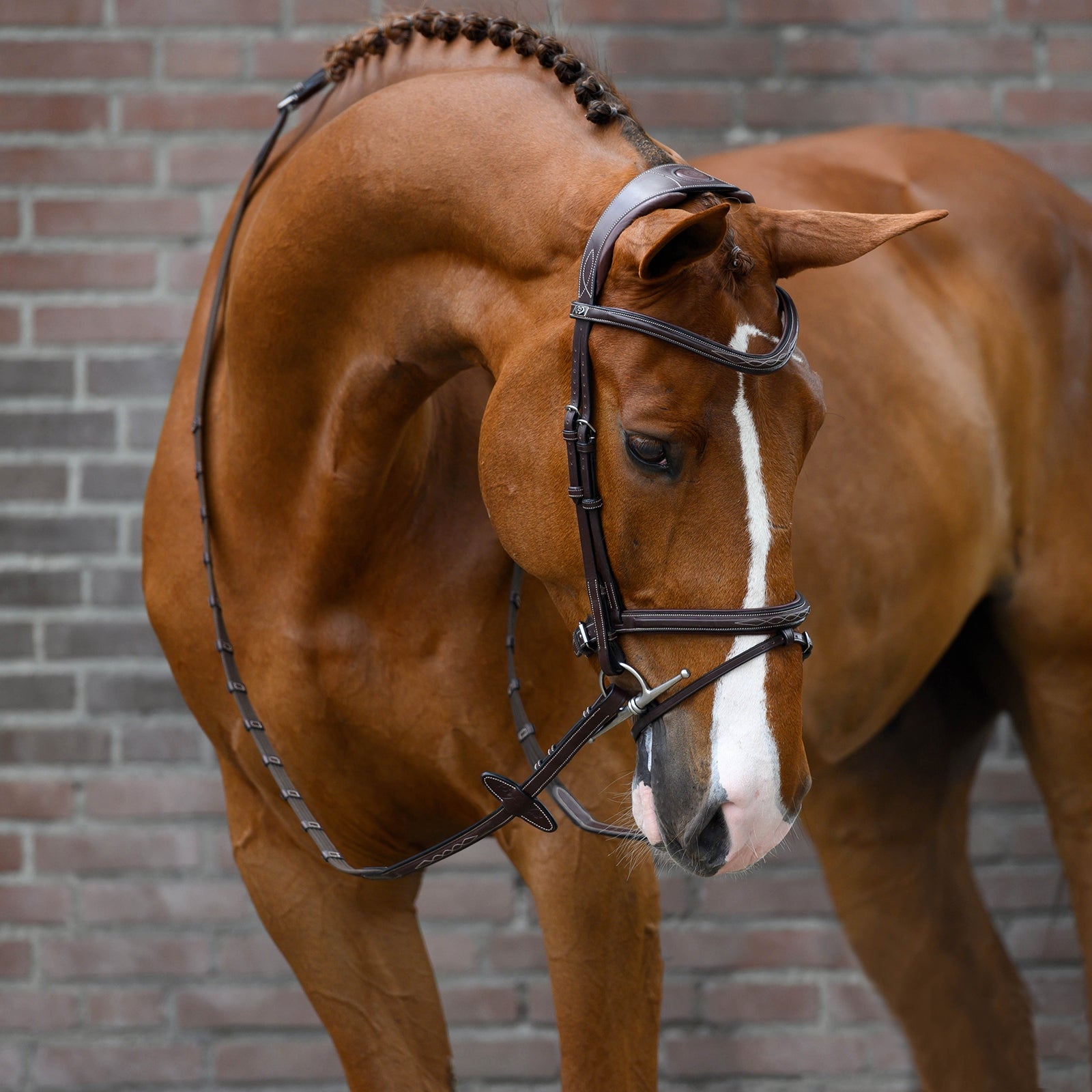 PS of Sweden Stockholm Trense Trensenzäume & Zügel