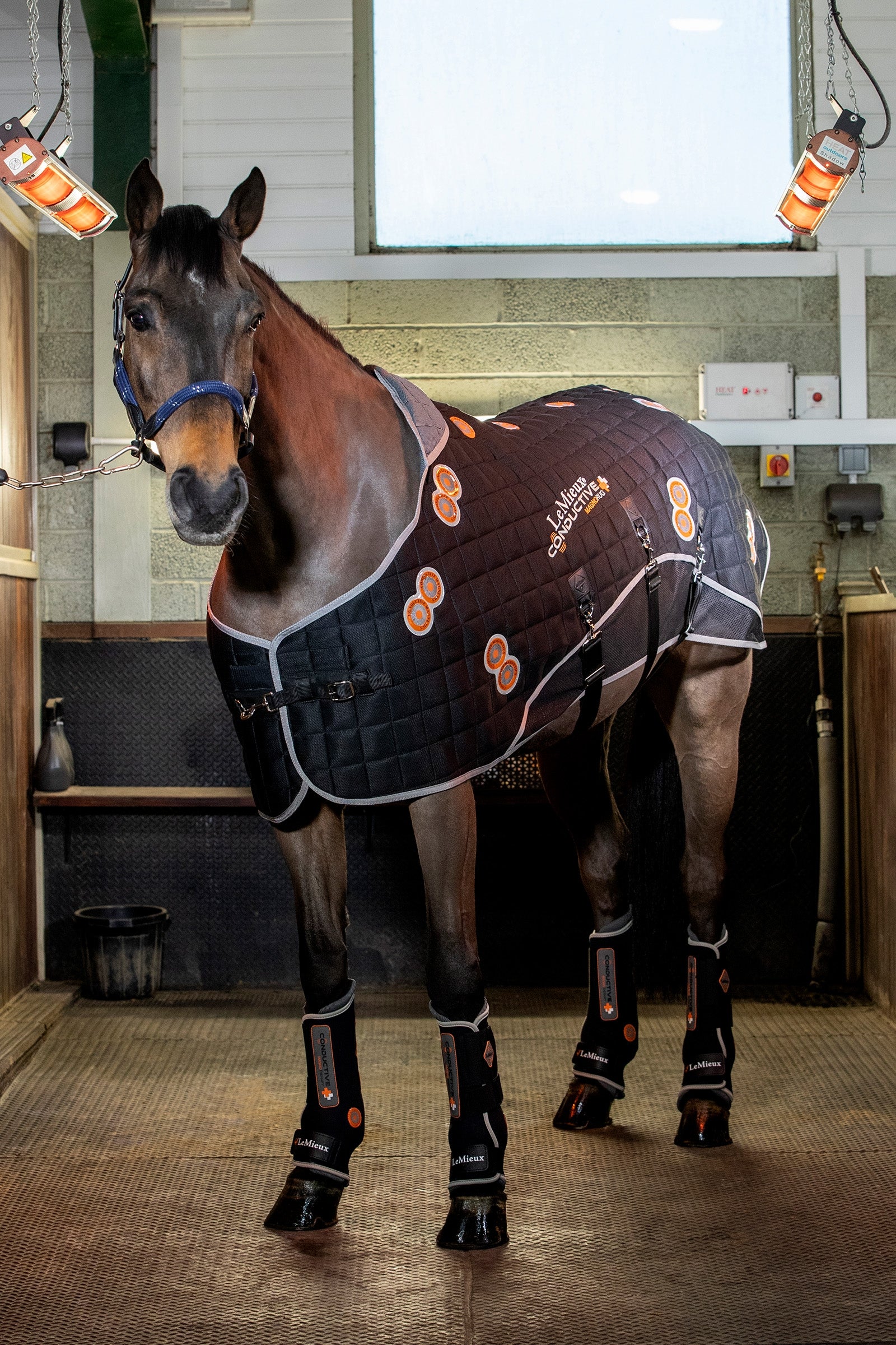 LeMieux Conductive MagnoRug Magnetic Therapy Rug Horse Rugs