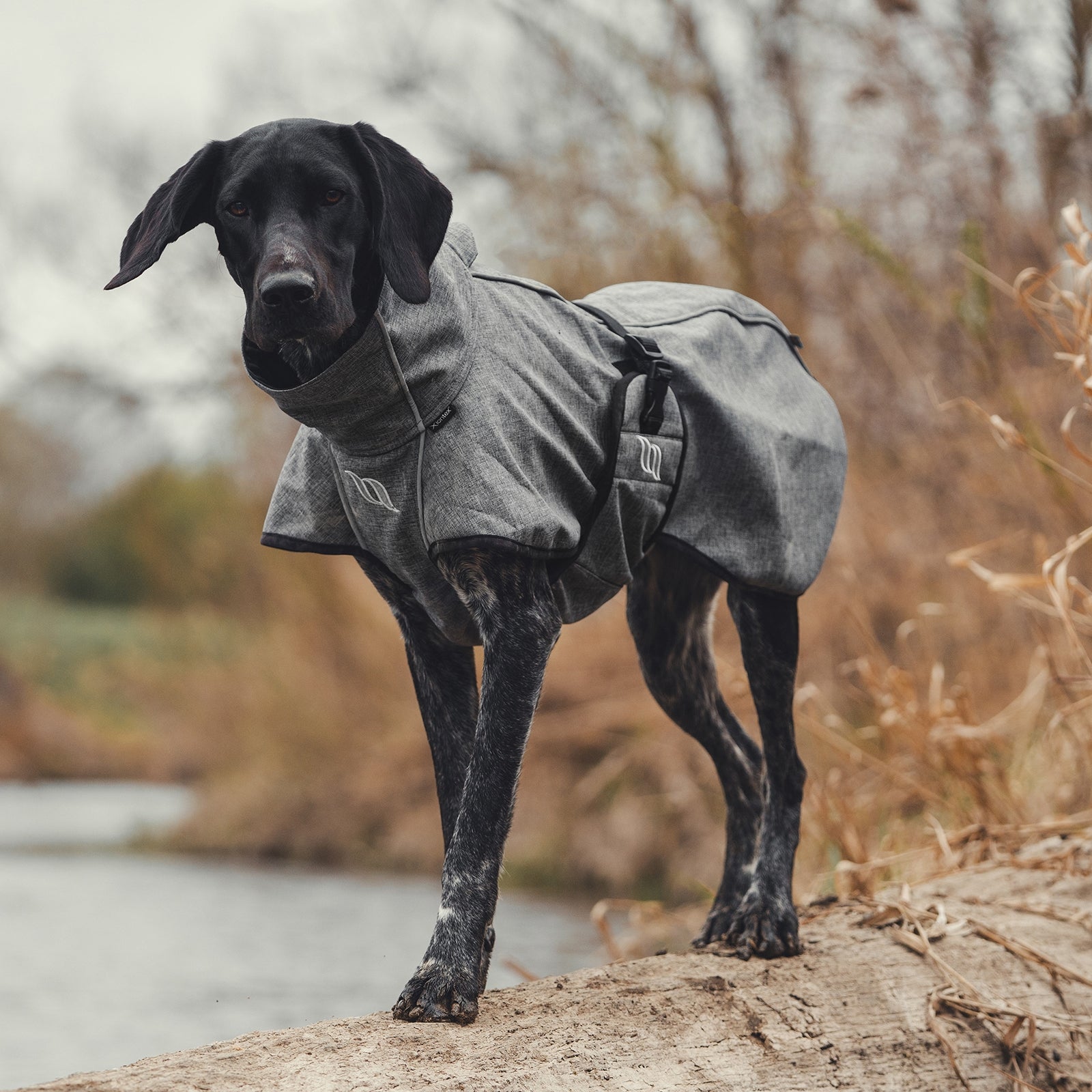 Back on Track Bark All-Round Dog Coat, 25-35cm Dog Accesories