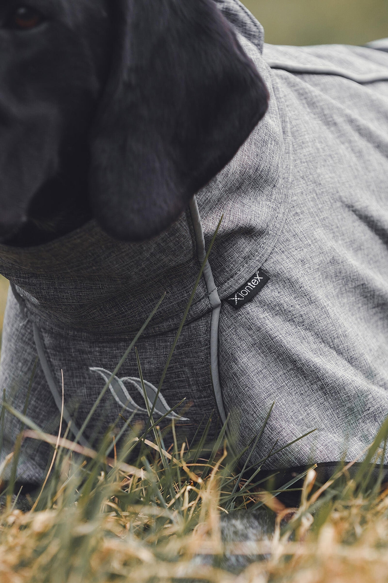 Back on Track Bark All-Round Dog Coat, 55-65cm Dog Accesories