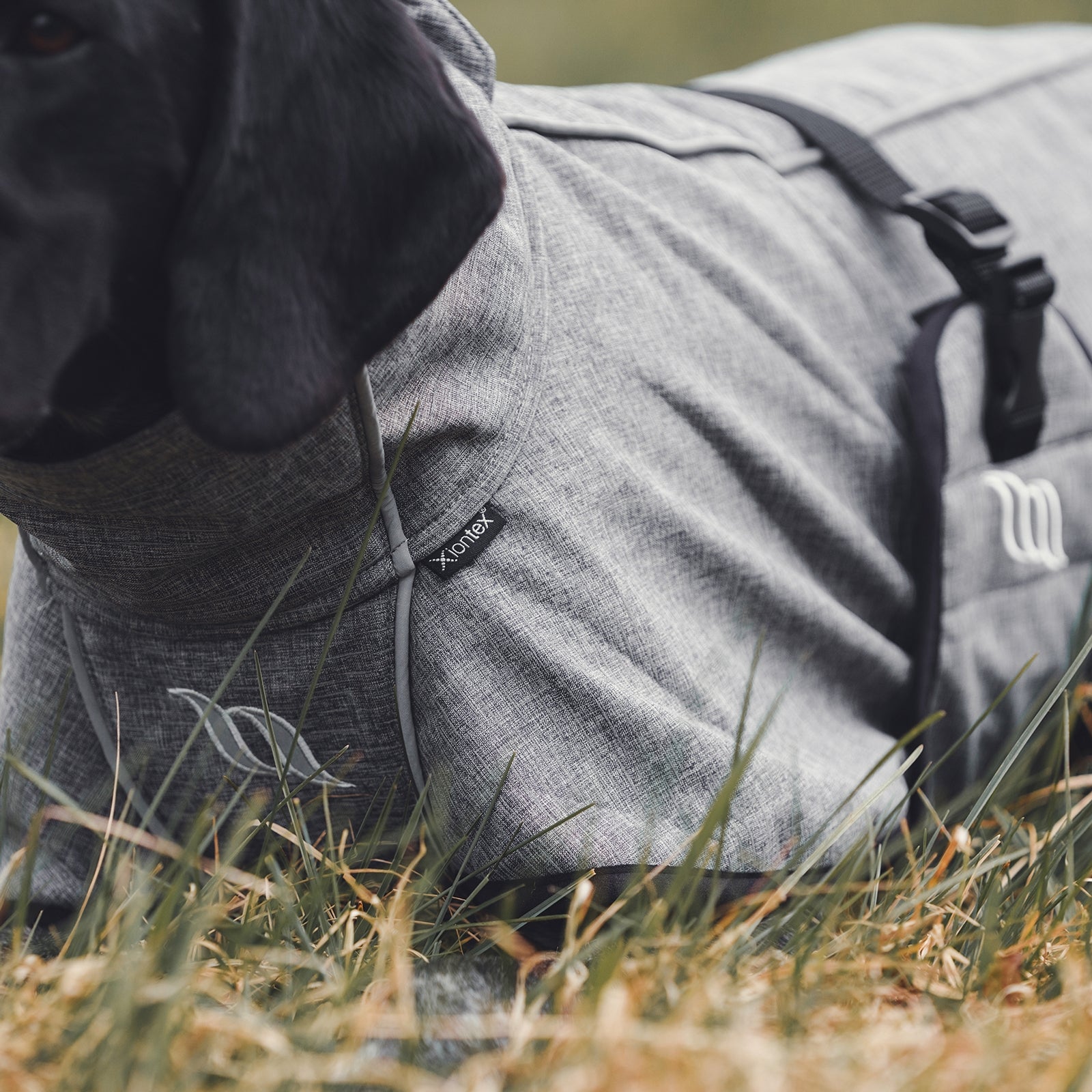 Back on Track Bark All-Round Dog Coat, 70-80cm Dog Accesories