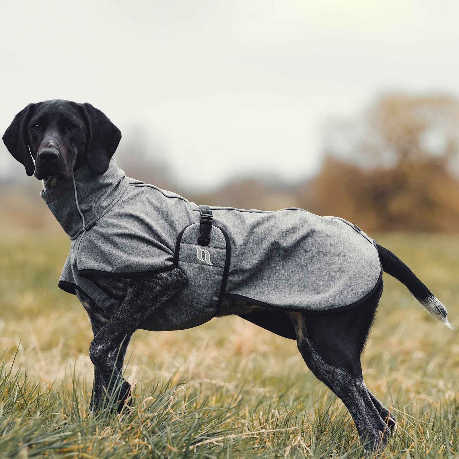 Back on Track Bark All-Round Dog Coat, 70-80cm Dog Accesories