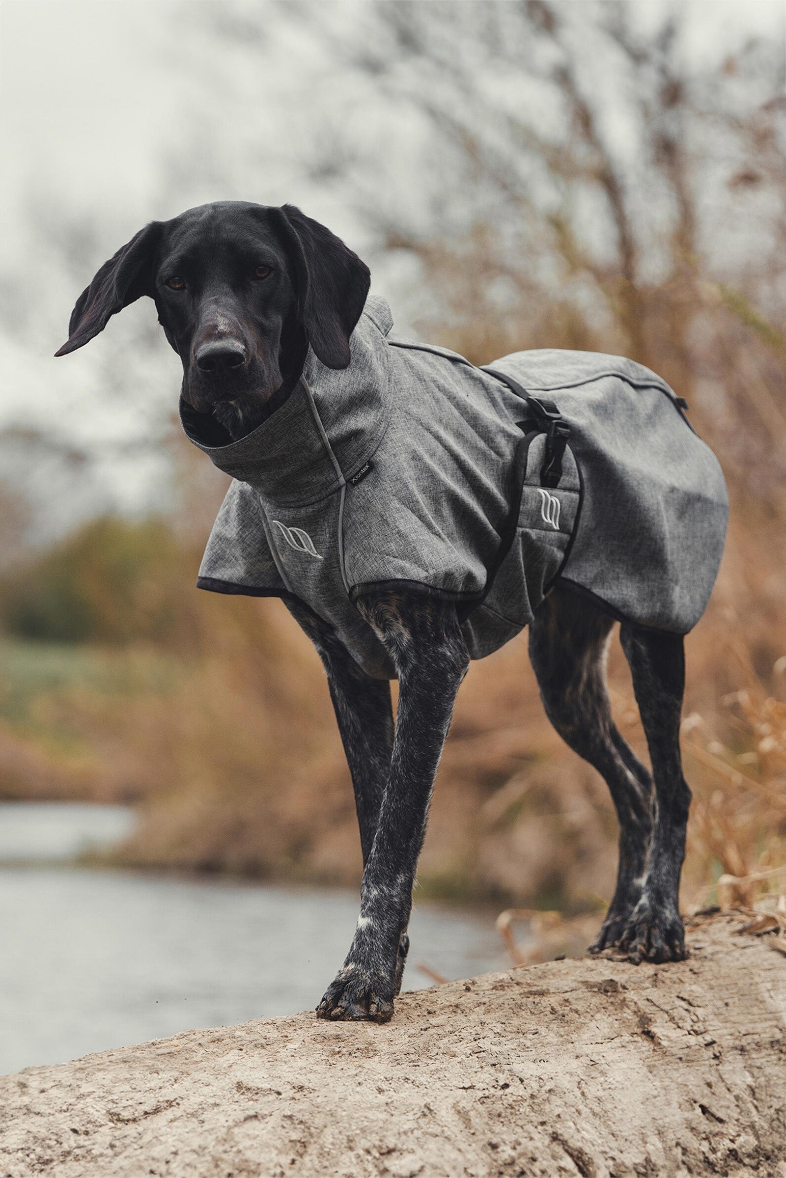 Back on Track Bark All-Round Dog Coat, 85-90cm Dog Accesories