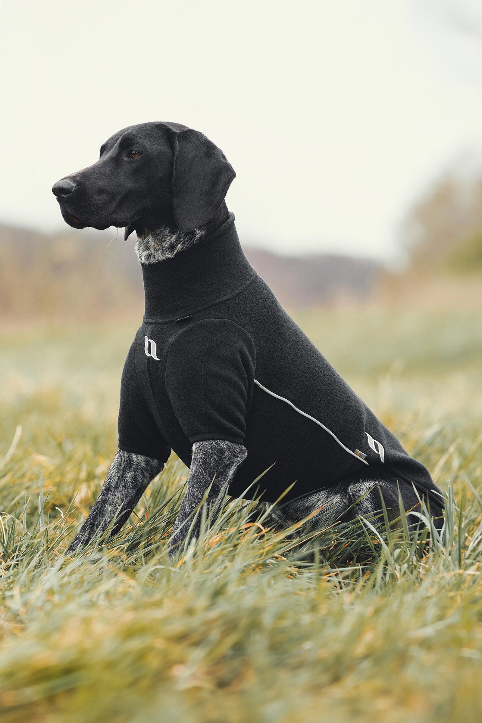 Back on Track Cassie All-Weather Jumper, 55-60cm Dog Accesories