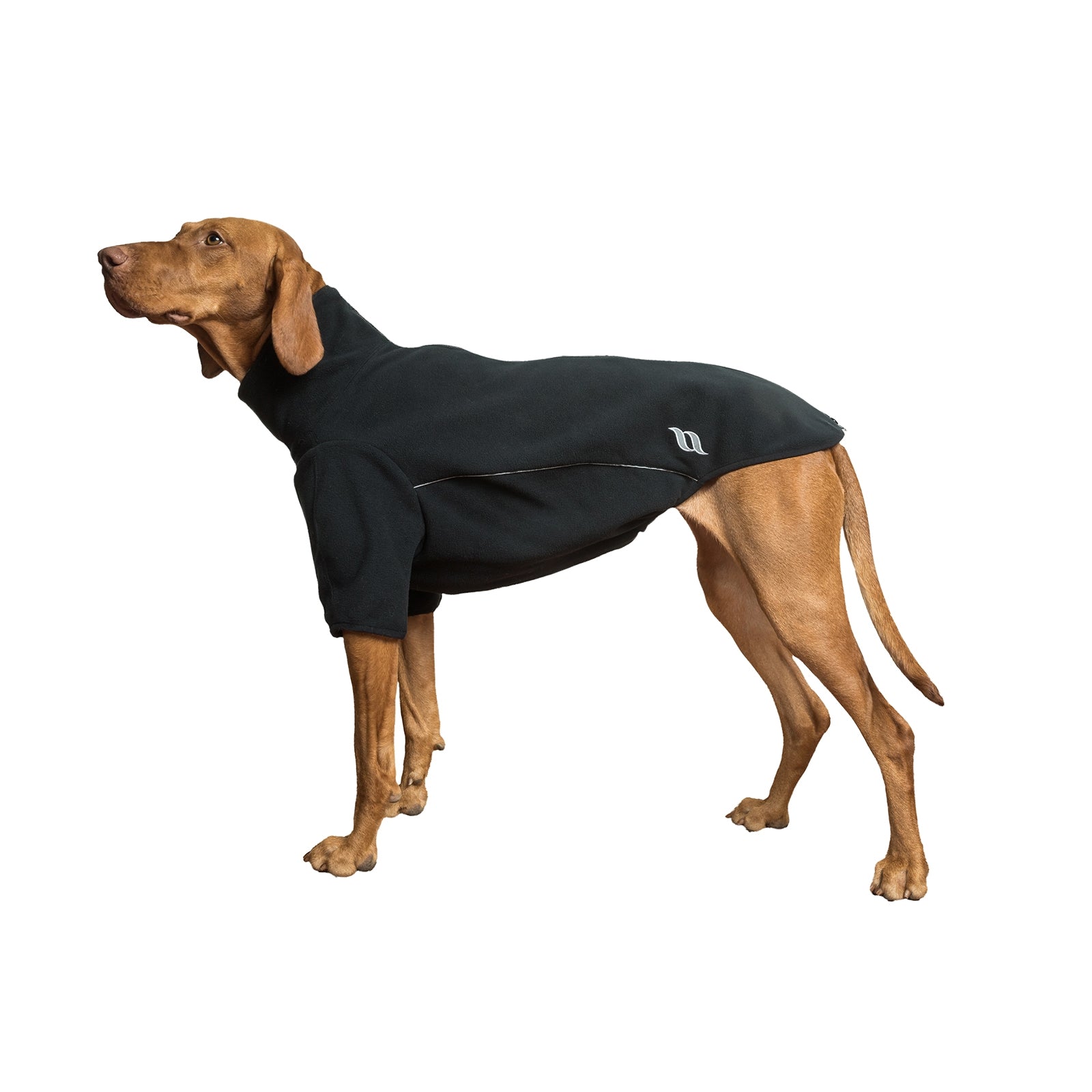 Back on Track Cassie All-Weather Jumper, 65-70cm Dog Accesories