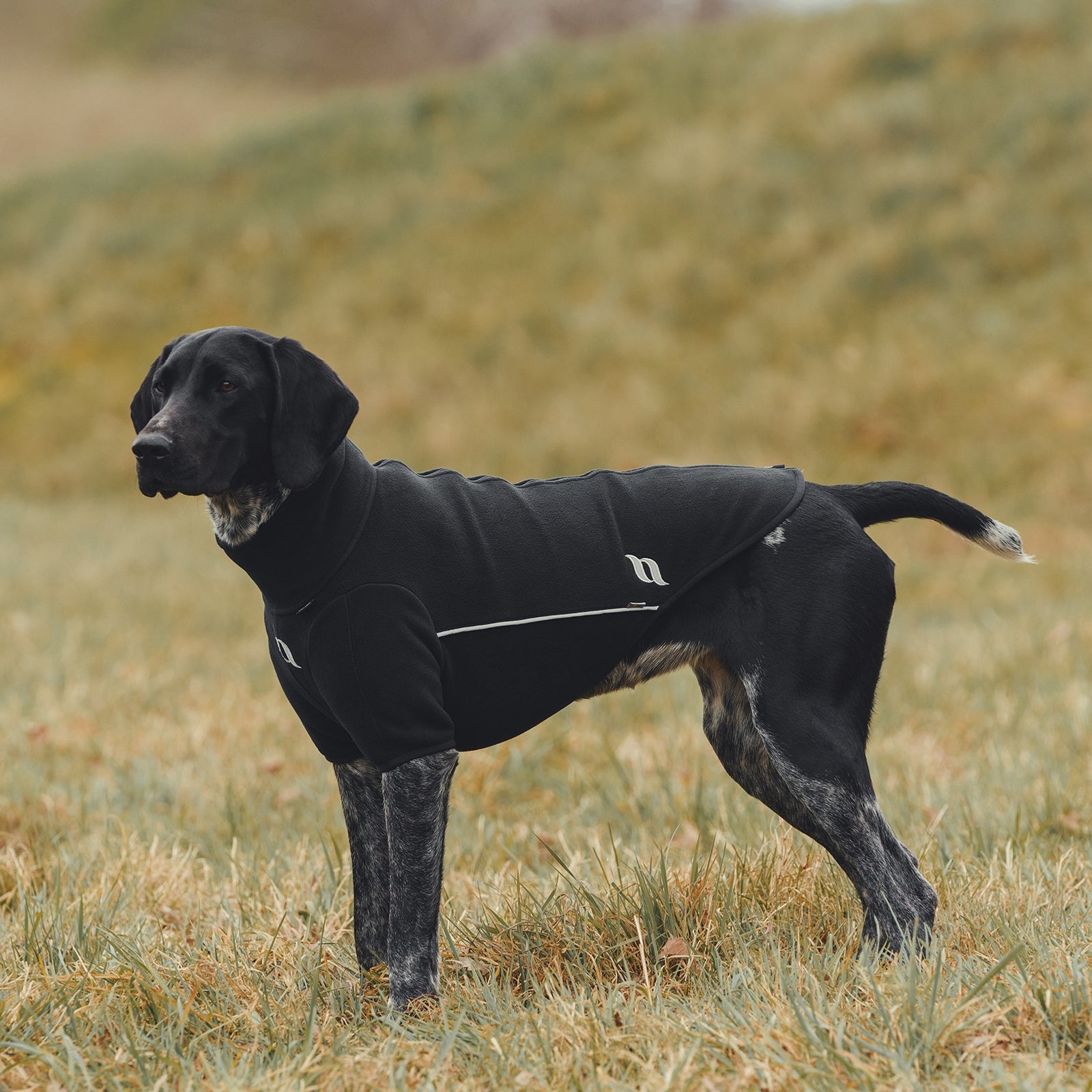 Back on Track Cassie All-Weather Jumper, 65-70cm Dog Accesories