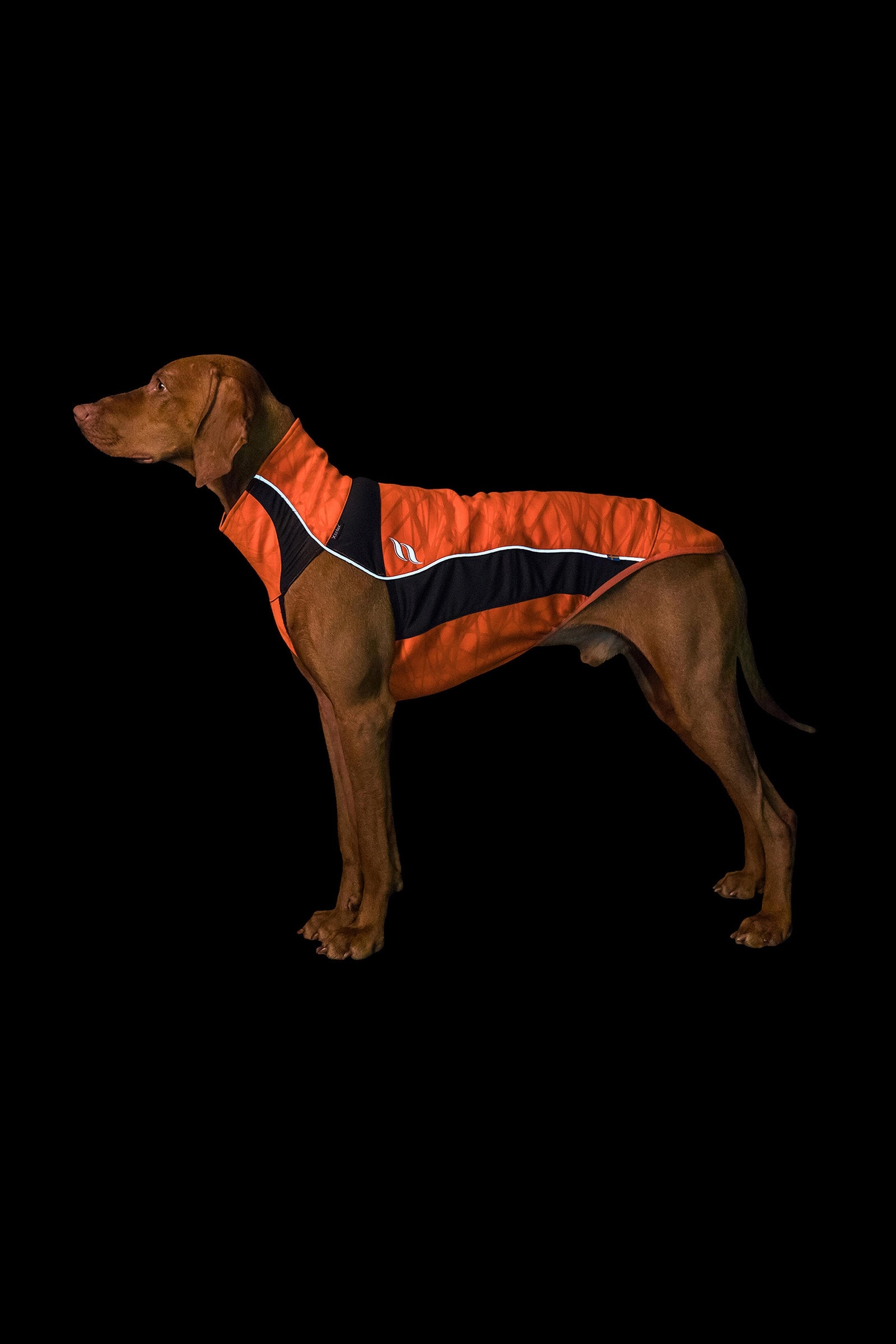 Back on Track Eddie Petite High-Visibility Jumper, 30-35cm Dog Accesories