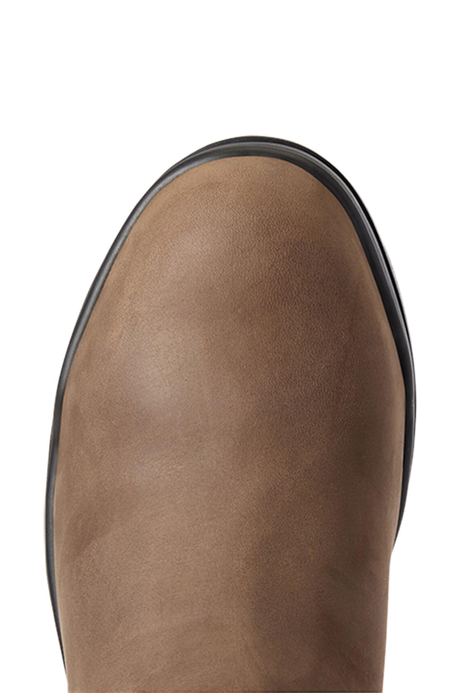 Ariat Keswick Women's Jodhpur Boots With Steel Toe Riding Boots & Riding Shoes