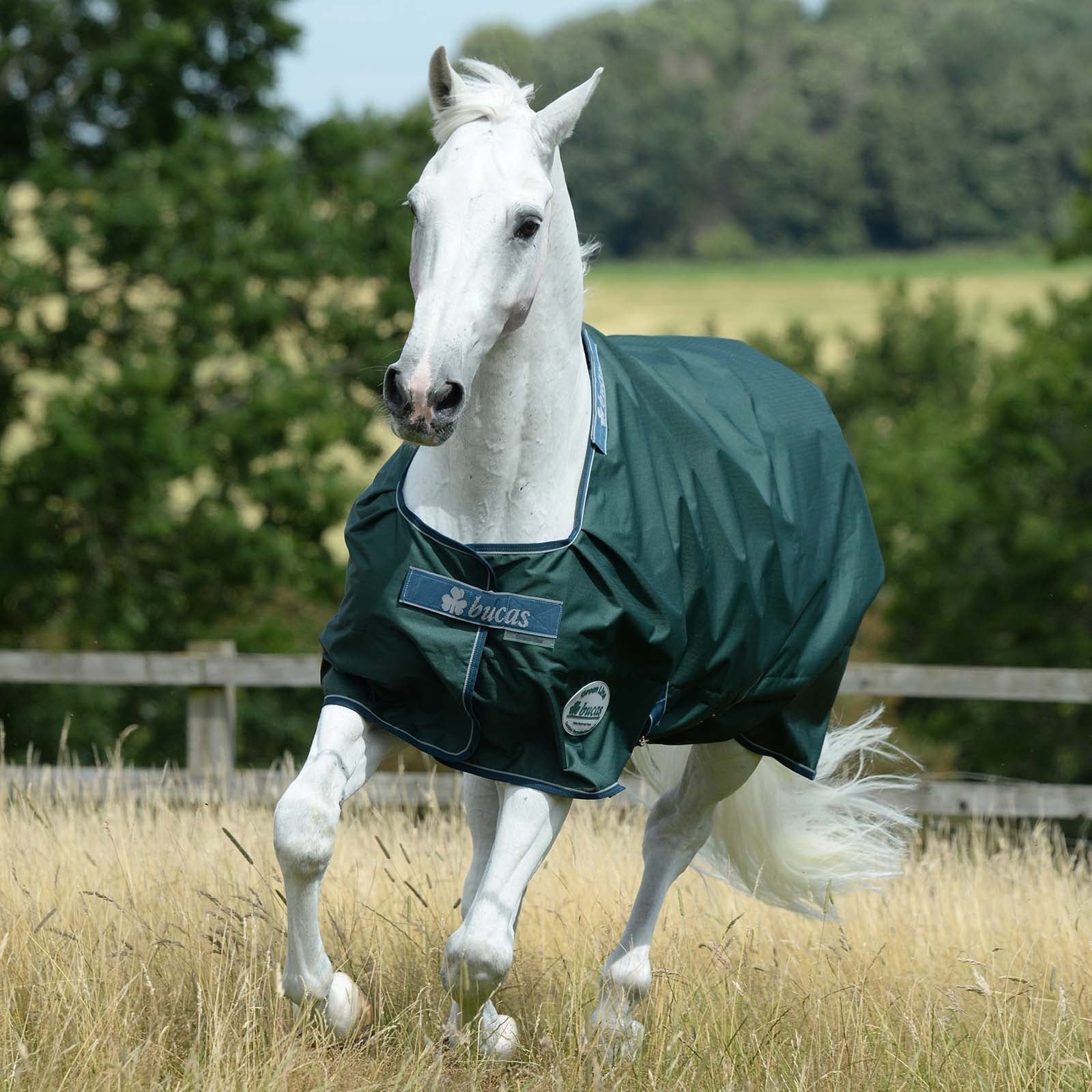 Bucas Green-Line Turnout Weidedecke 300g Pferdedecken