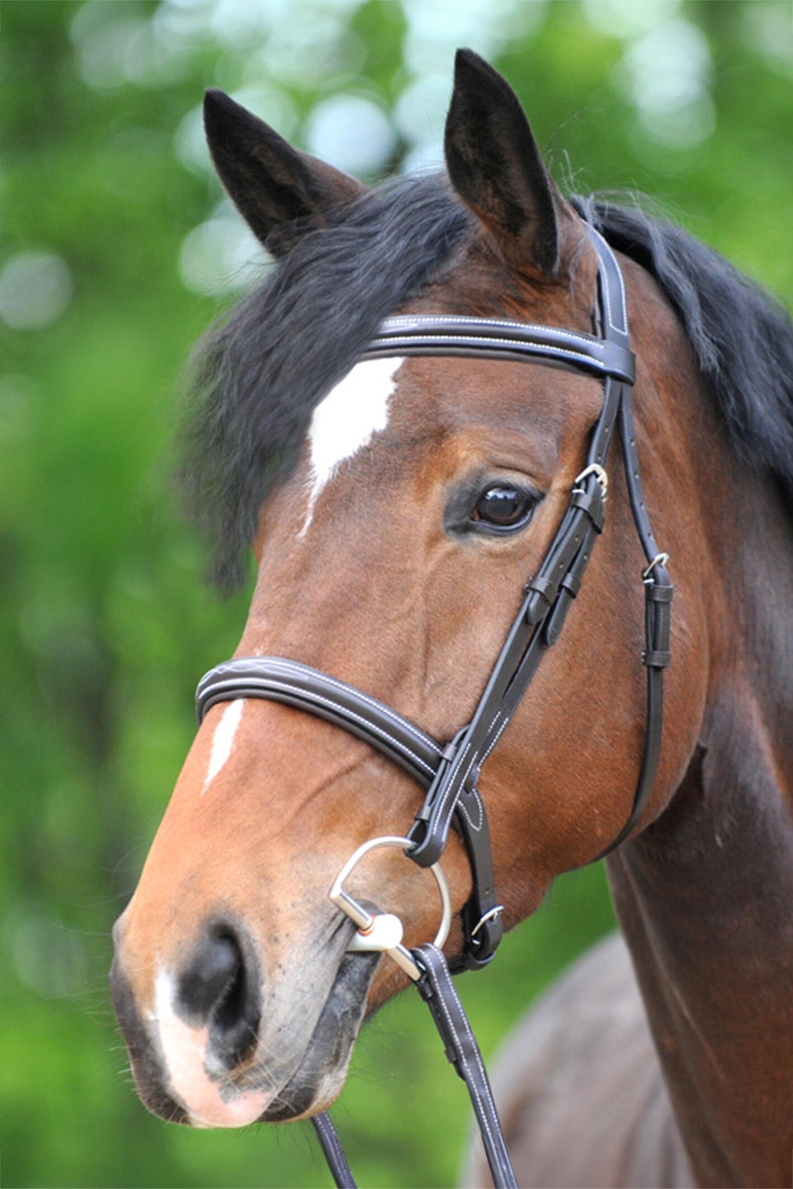 Kavalkade Akila Hunter Bridle Bridles & Reins
