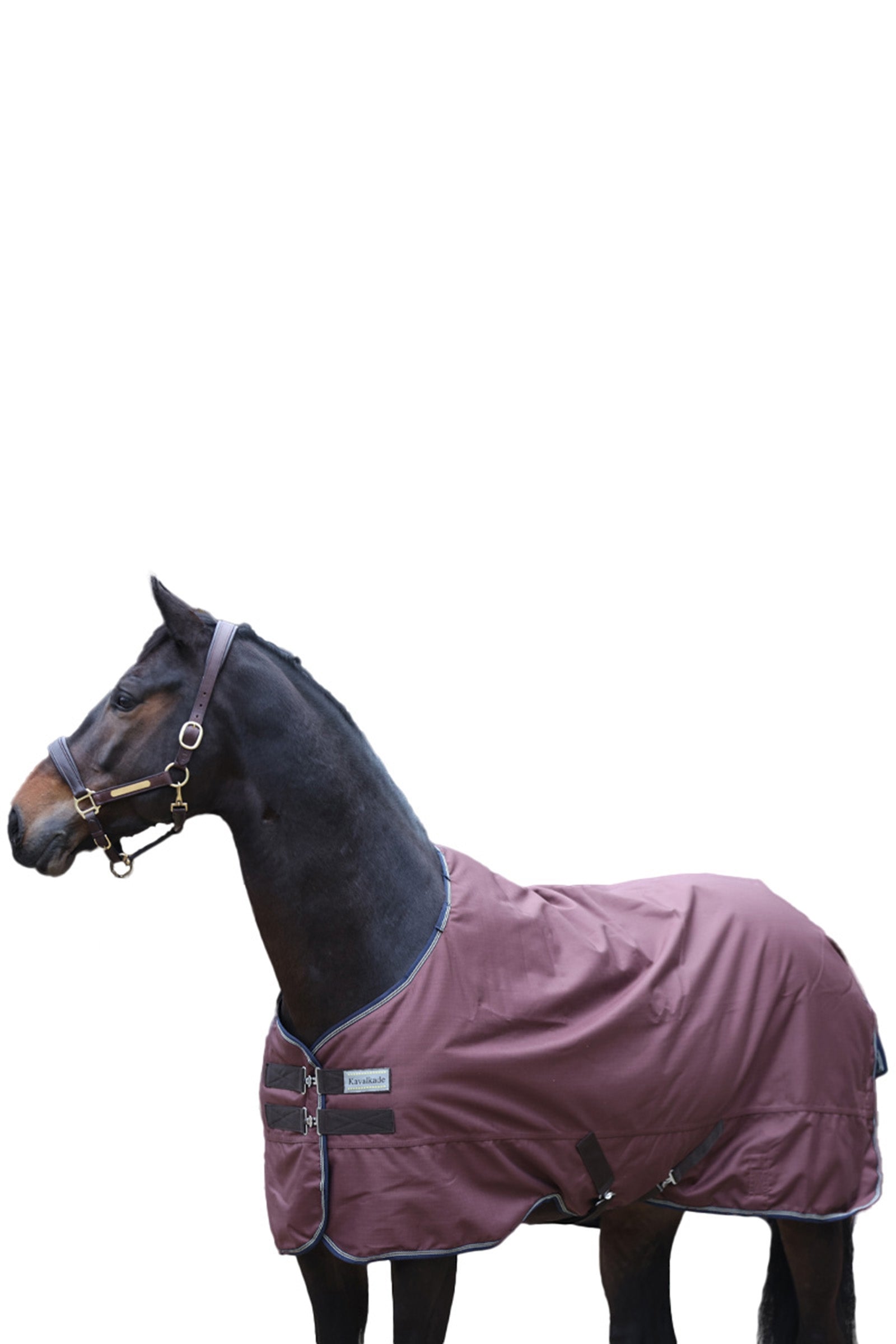 Kavalkade Montreal Turnout Rug, 100g Horse Rugs