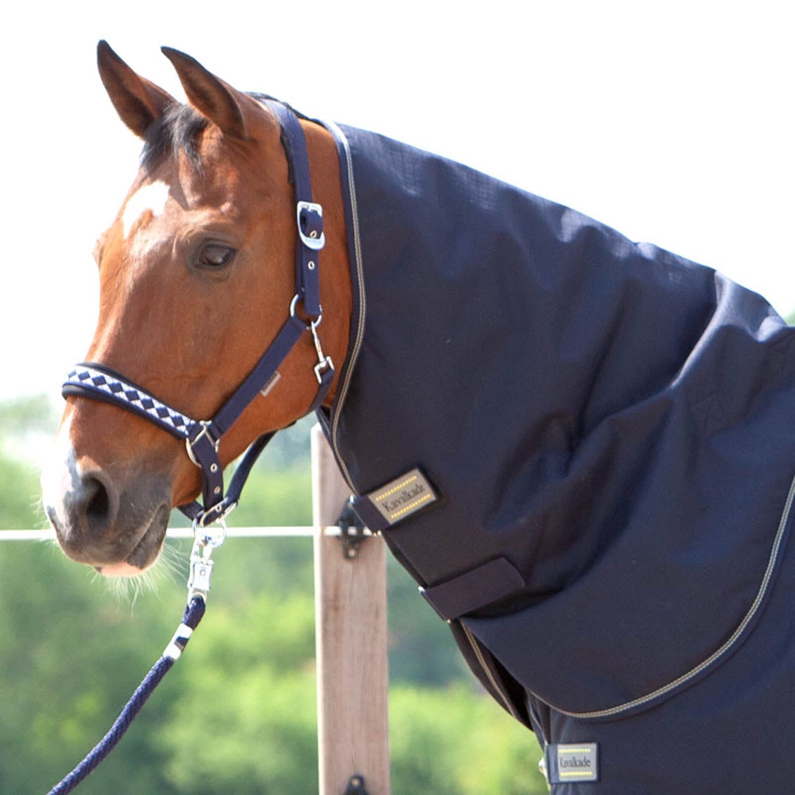 Kavalkade Halsteil für Montreal Weidedecke, 100g Pferdedecken