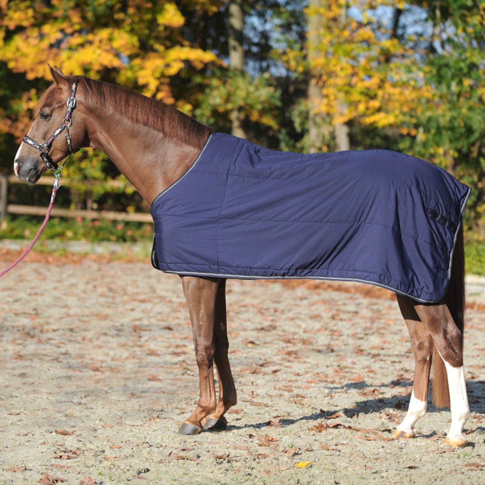 Kavalkade Under Rug 150g Horse Rugs