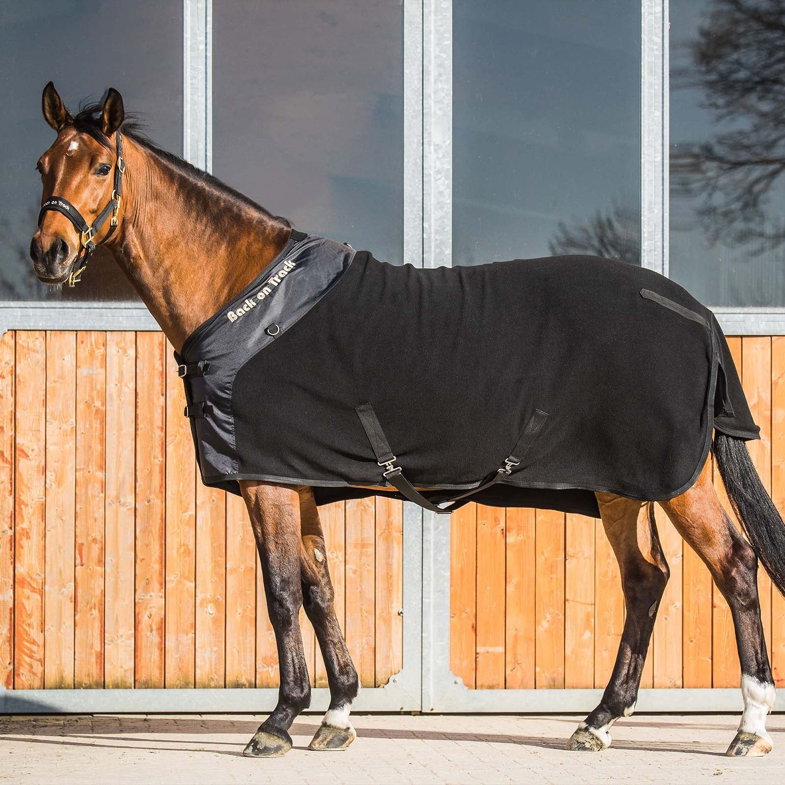 Back on Track Supreme Fleece Rug Horse Rugs
