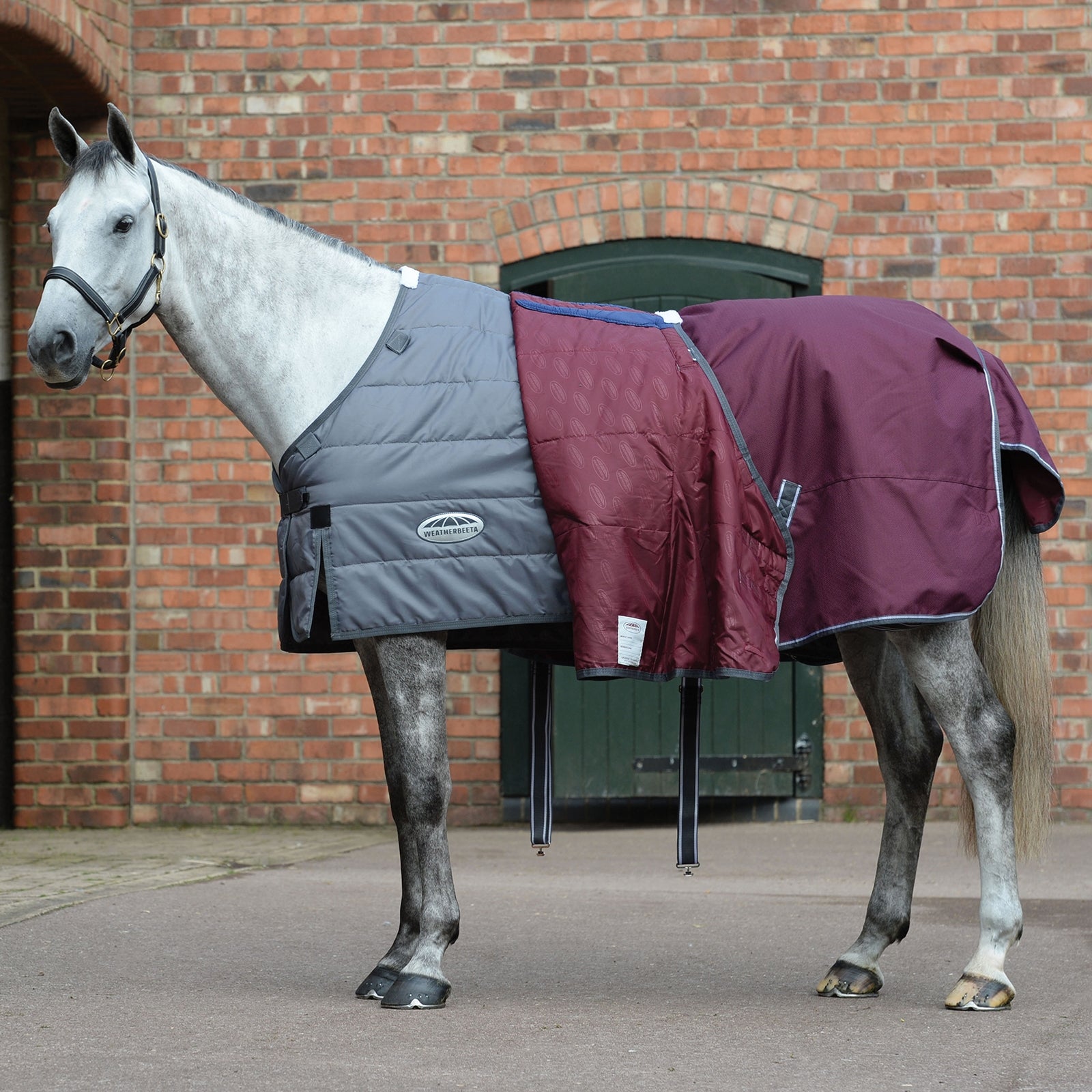 Weatherbeeta Comfitec Plus Dynamic II Combo Neck Turnout Rug, 220g Horse Rugs