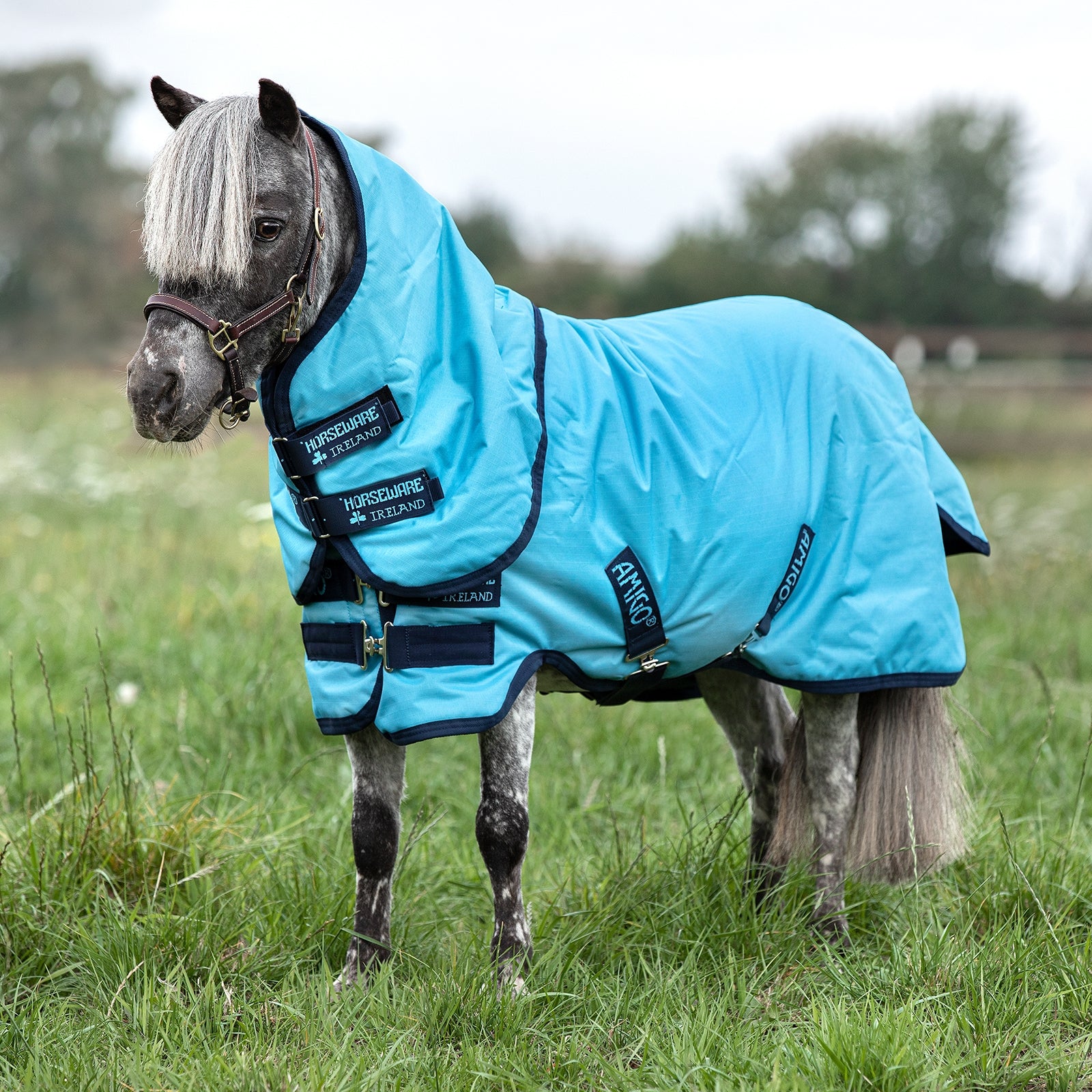 Horseware Amigo Hero 6 Petite Plus Weidedecke inkl. abnehmbarem Halsteil, 0g Pferdedecken