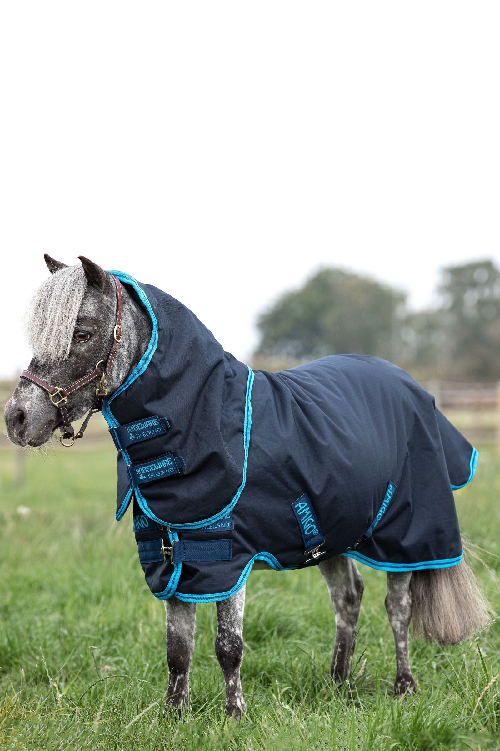 Horseware Amigo Hero 6 Petite Plus Turnout incl. Detachable Hood, 200g Horse Rugs