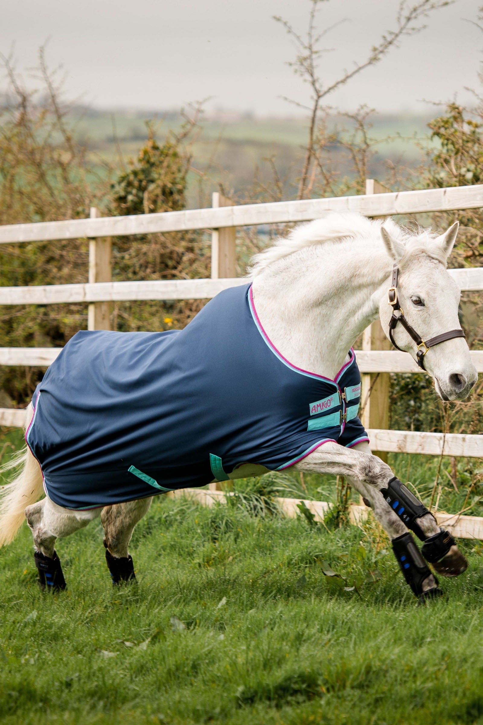 Horseware Amigo Hero 900 Pony Weidedecke, 200g Pferdedecken