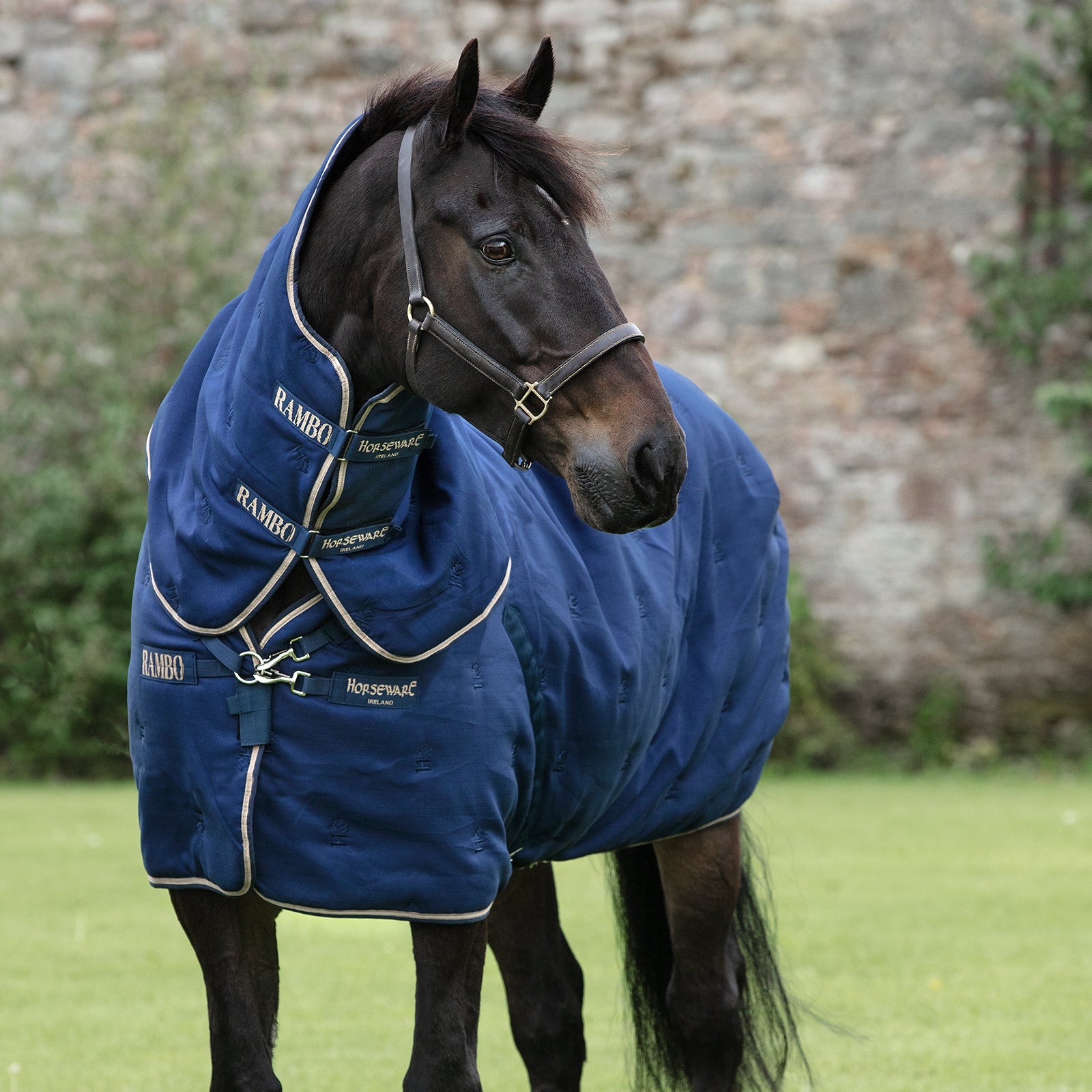 Horseware Rambo Deluxe Stable Plus inkl. abnehmbarem Halsteil, 200g Pferdedecken
