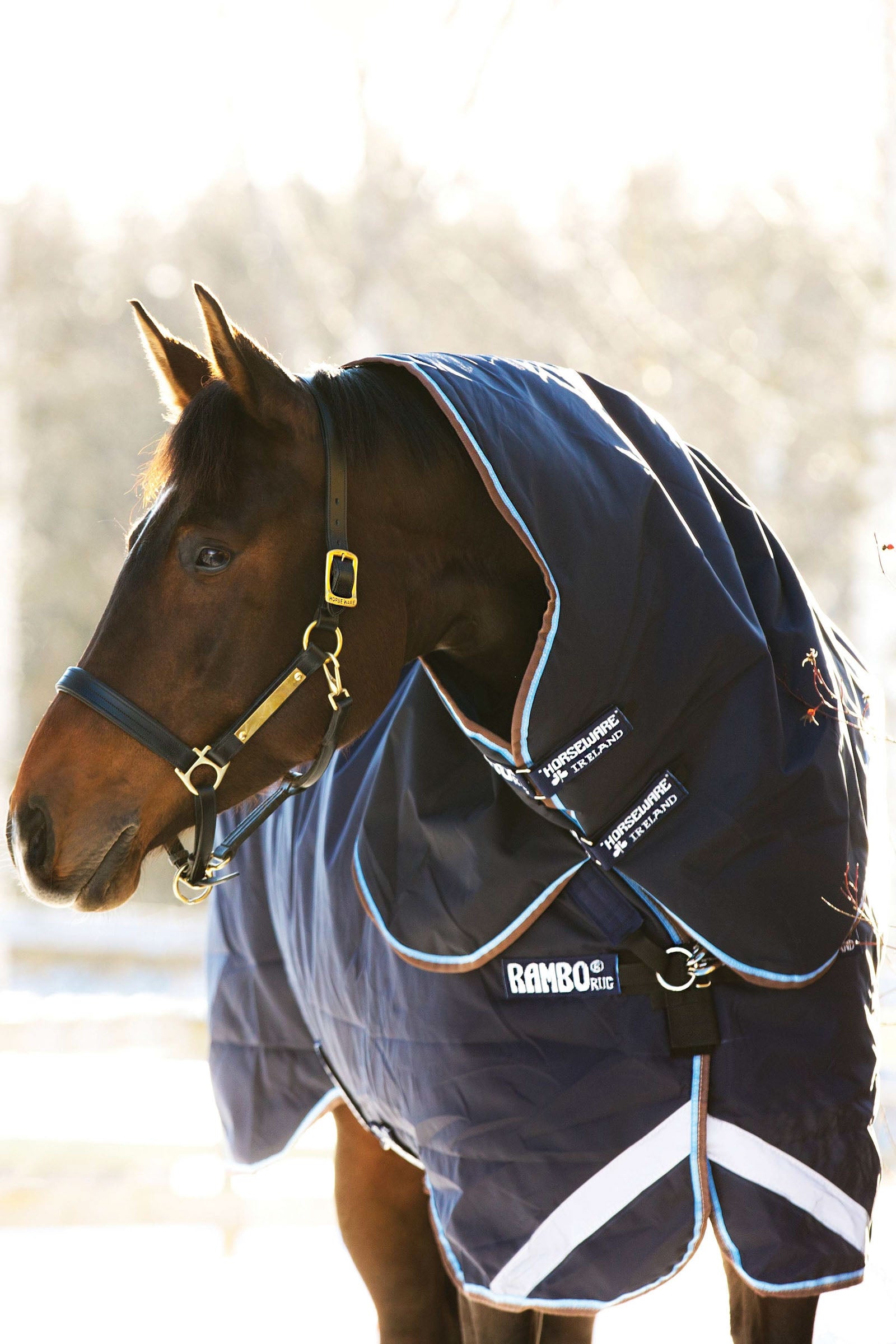 Horseware Rambo Duo Turnout incl. Detachable Hood, 100g Horse Rugs