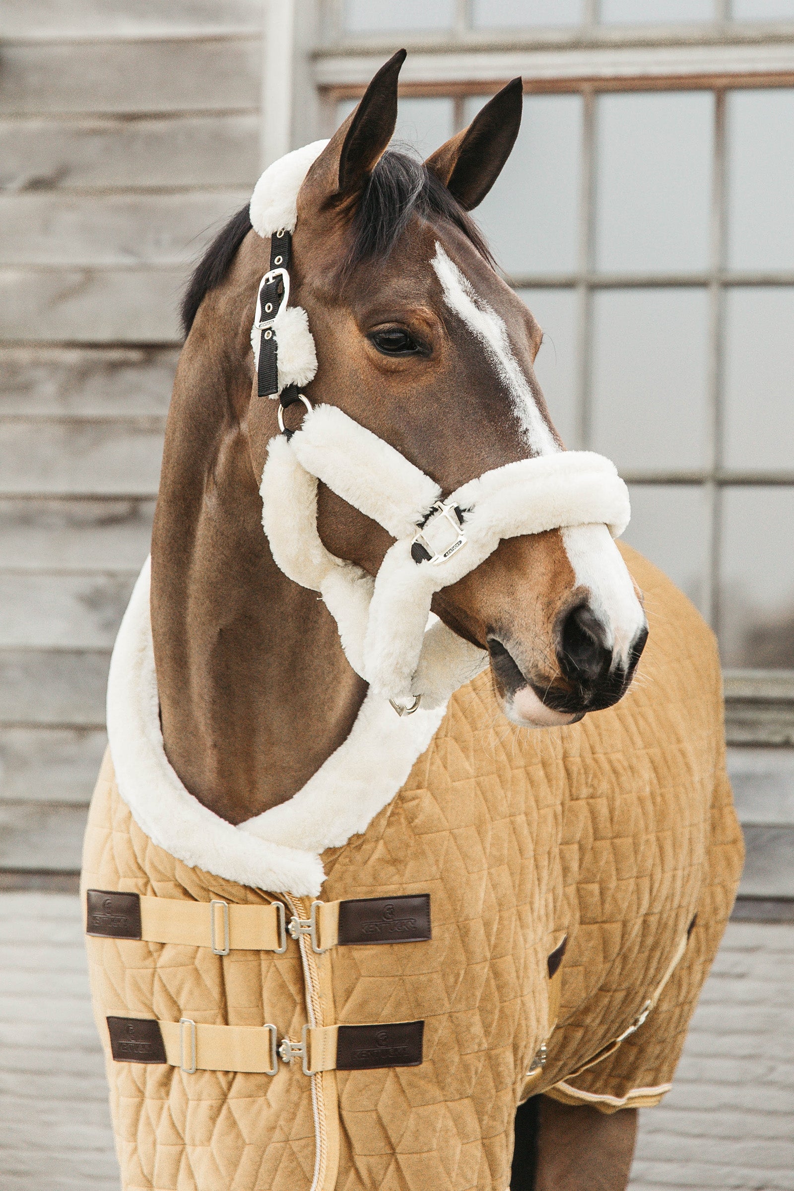 Kentucky Horsewear Velvet Pony Turnierdecke, 160g Pferdedecken