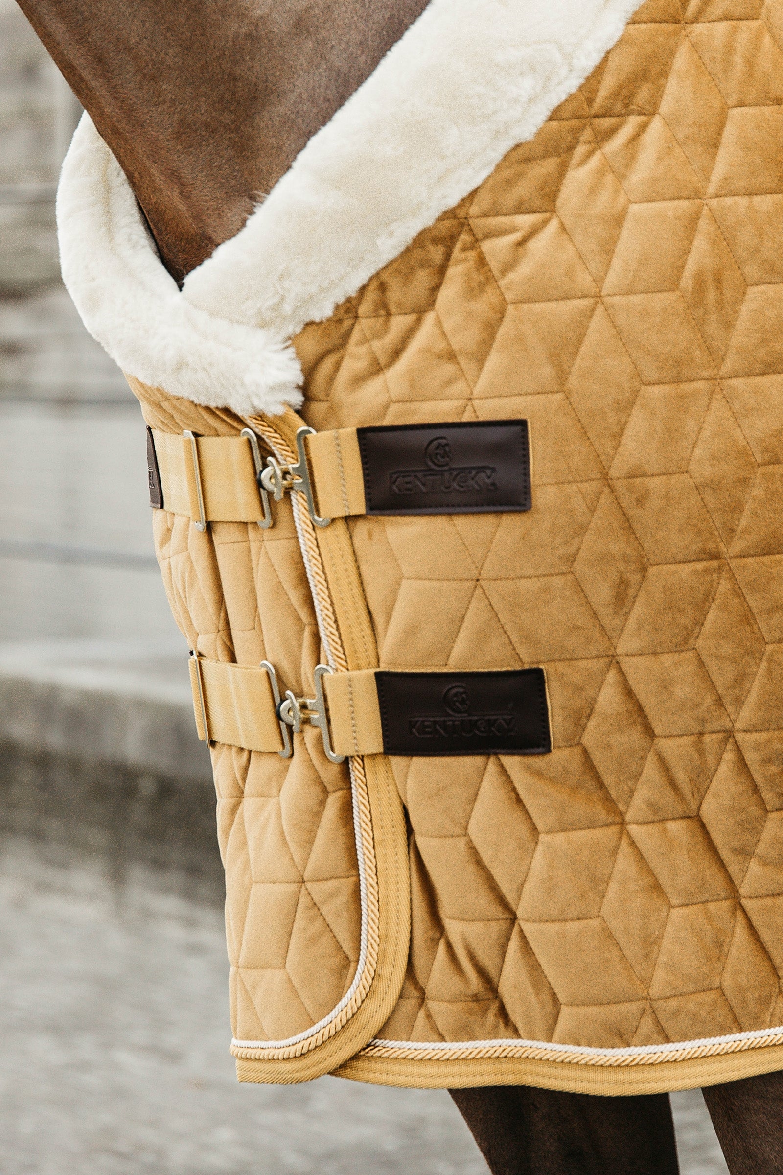 Kentucky Horsewear Velvet Pony Show Rug, 160g Horse Rugs