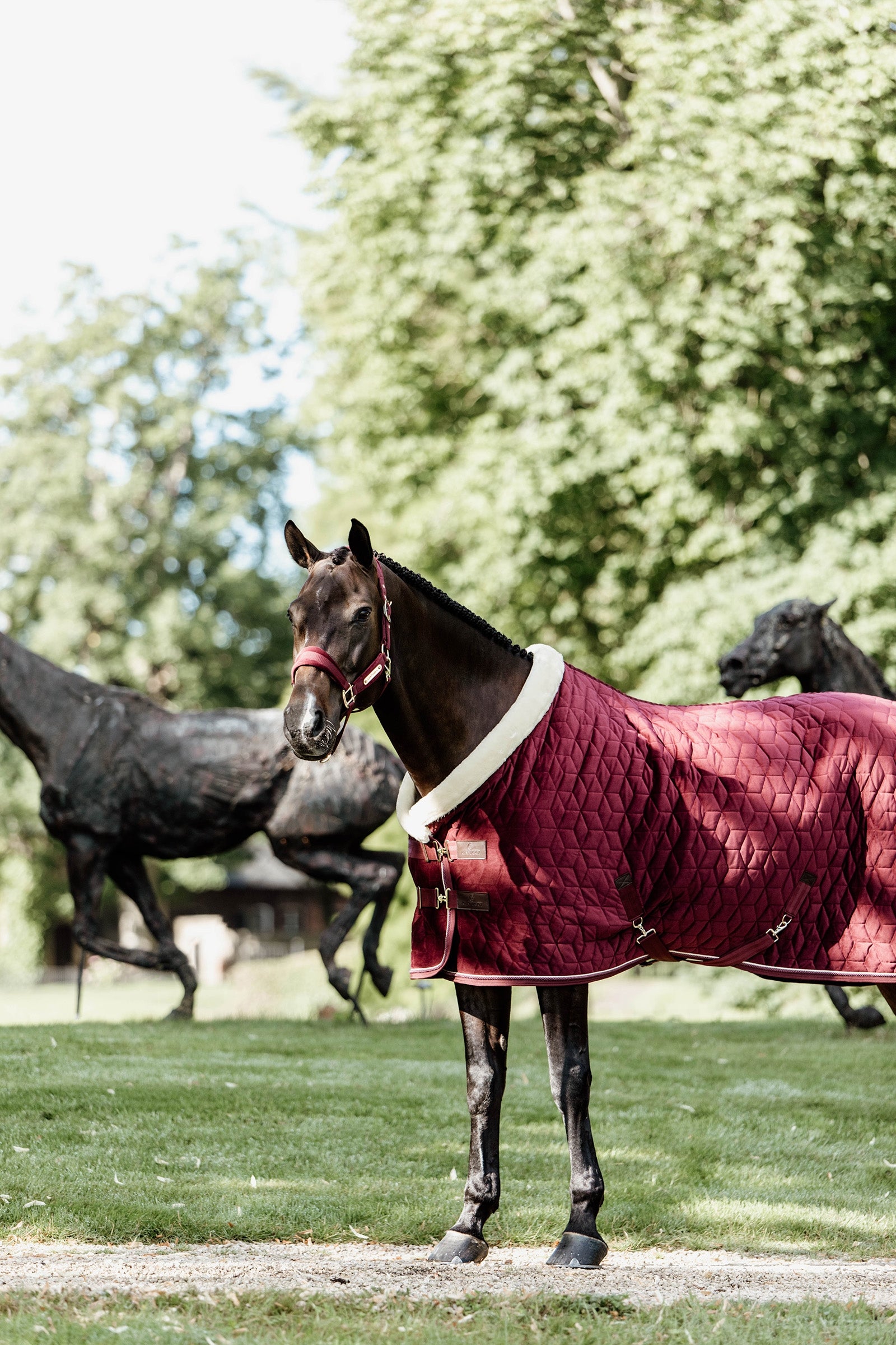 Kentucky Horsewear Velvet Show Rug, 160g Horse Rugs