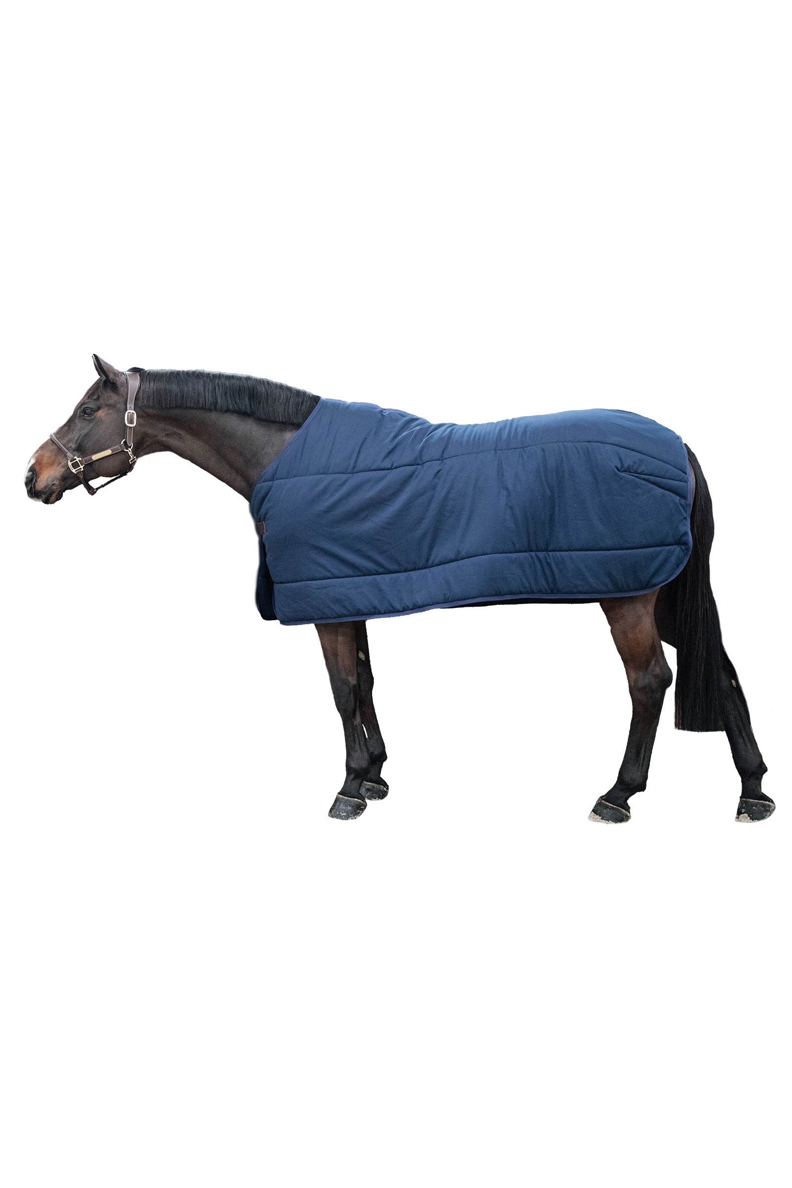 Kentucky Horsewear Classic Under Rug, 100g Horse Rugs