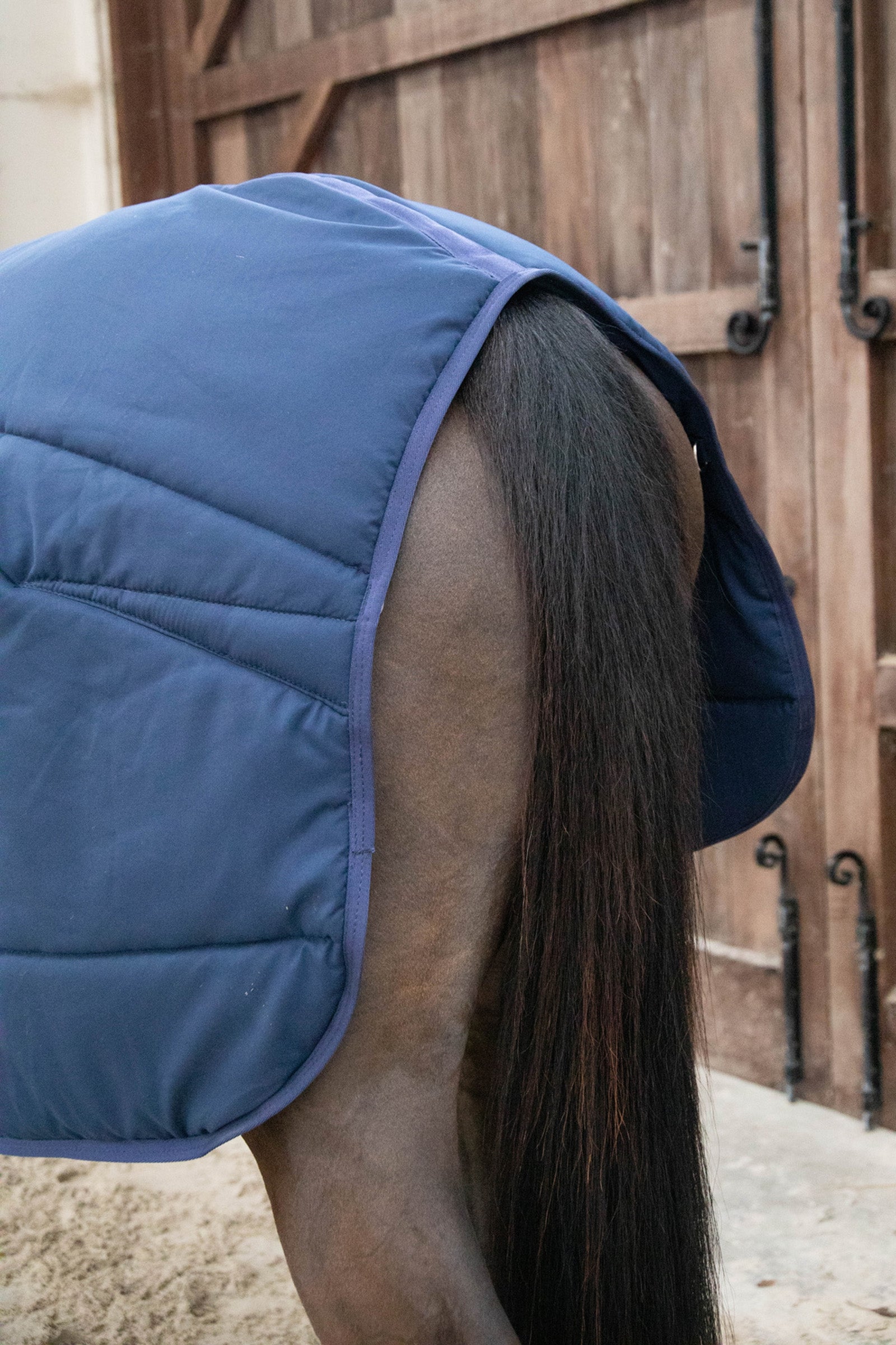 Kentucky Horsewear Classic Under Rug, 200g Horse Rugs