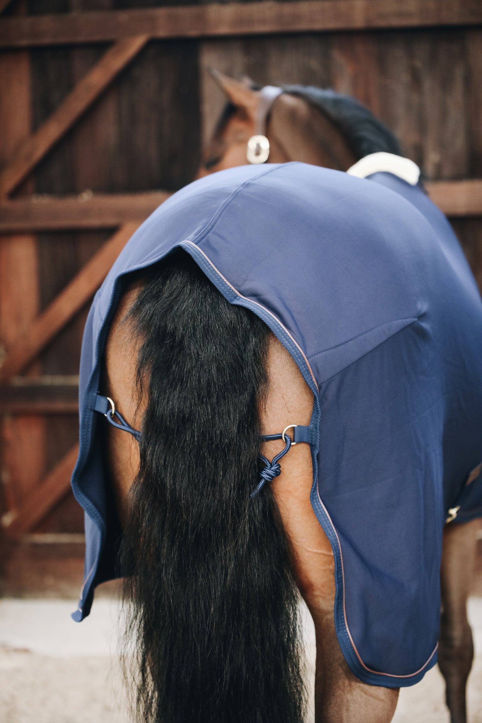 Kentucky Horsewear Tiny Fleece Cooler Horse Rugs