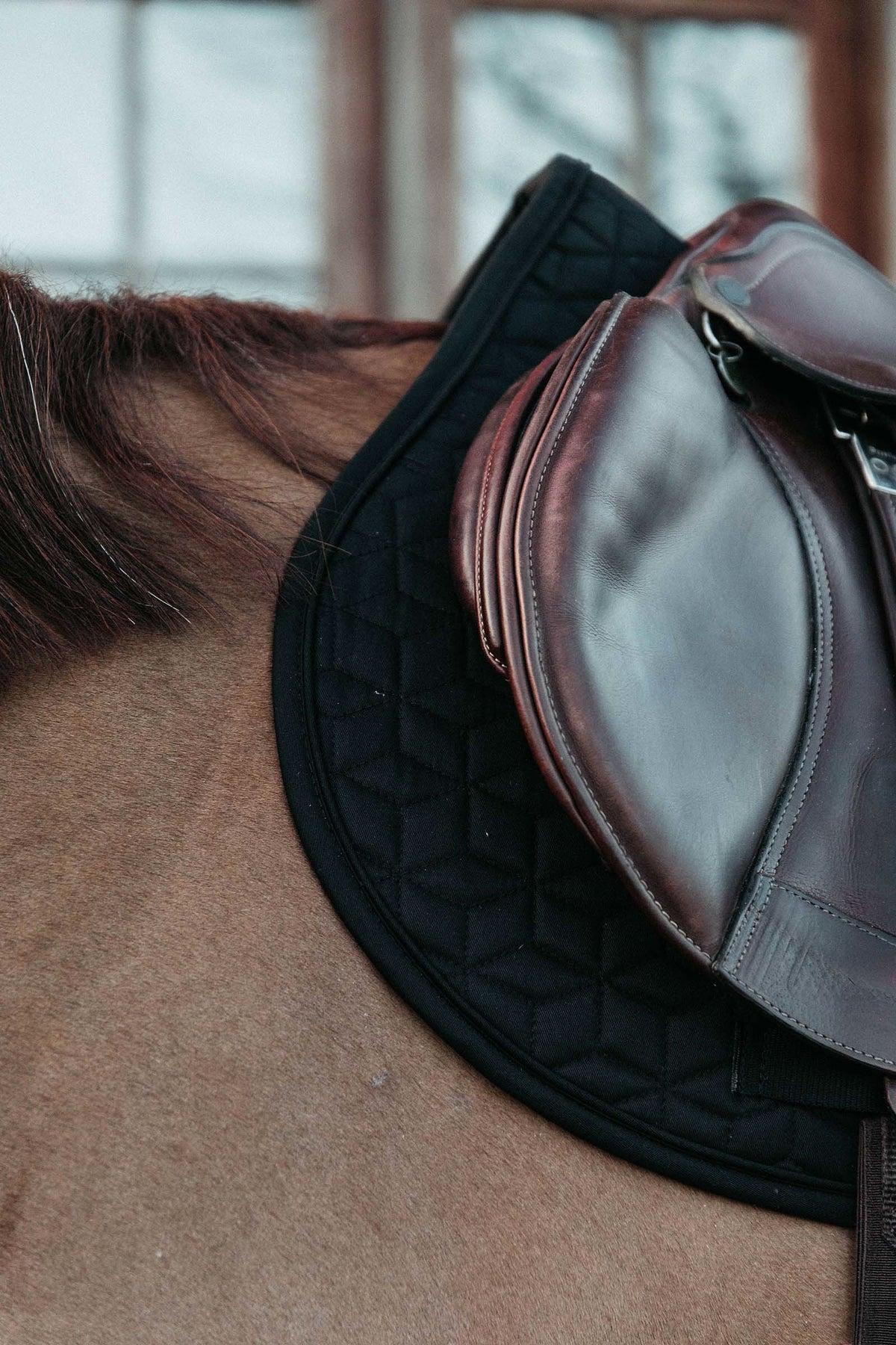 Kentucky Horsewear Basic Jumping Saddle Pad Saddle Pads