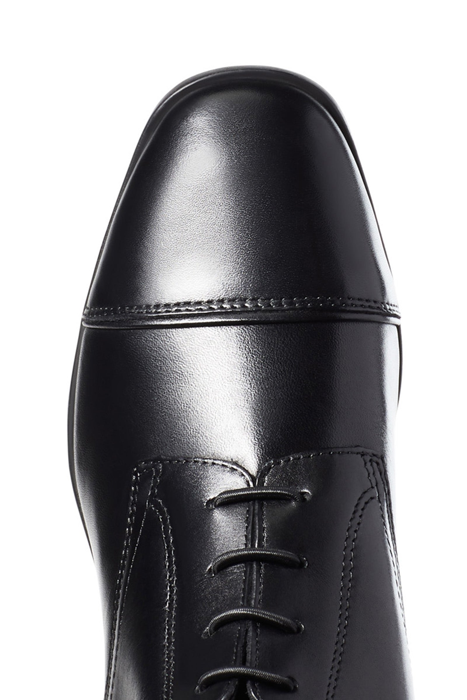 Ariat Palisade Women's Tall Riding Boots Riding Boots & Riding Shoes