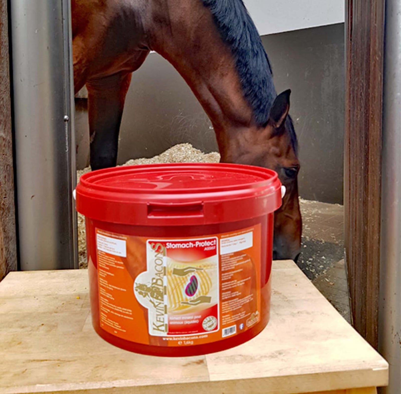 Kevin Bacon´s Kevin Bacon's Stomach-Protek Assist, 1,6kg Horse Feed & Nutrition