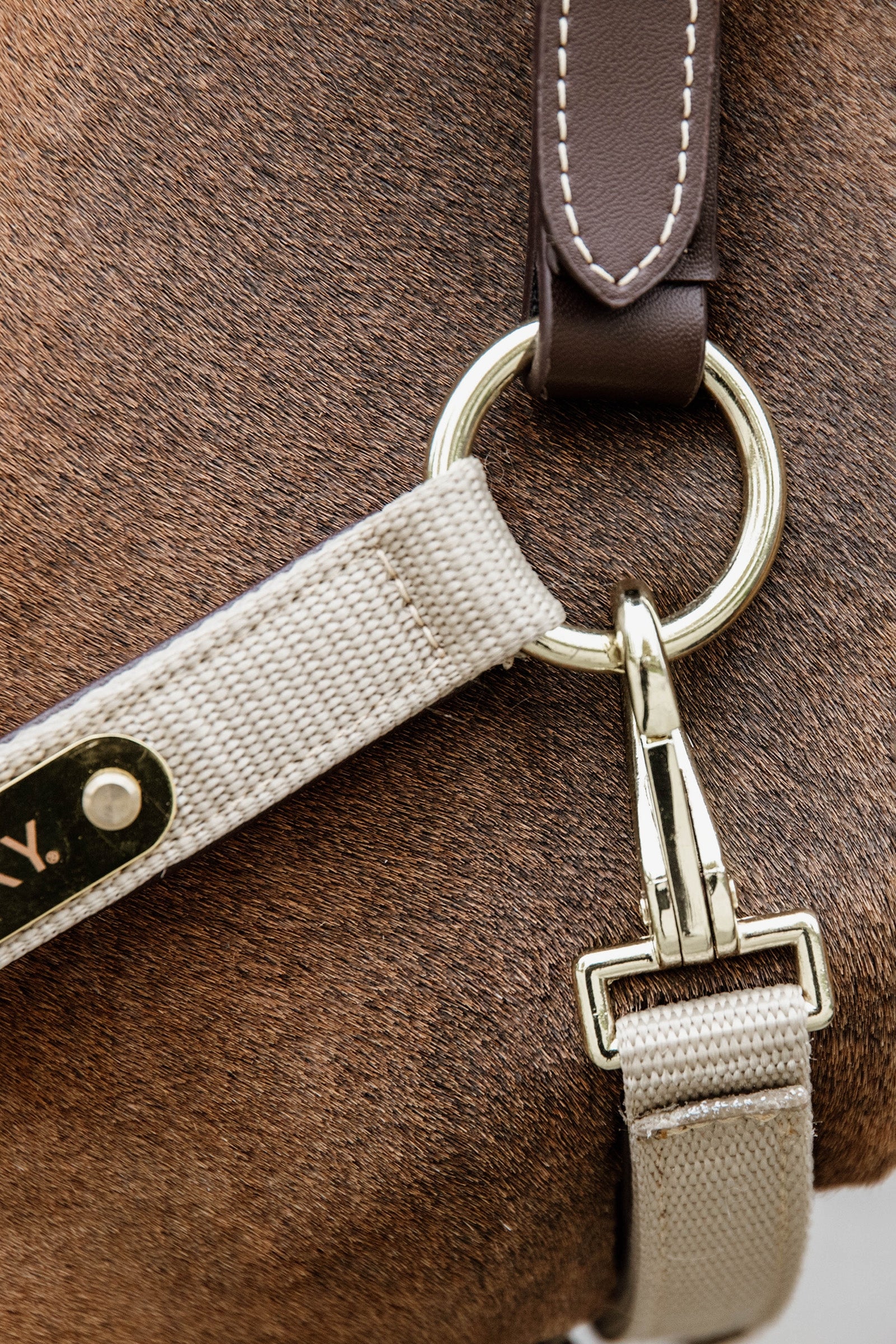 Kentucky Horsewear Anatomic Nylon Halter Halters & Leads