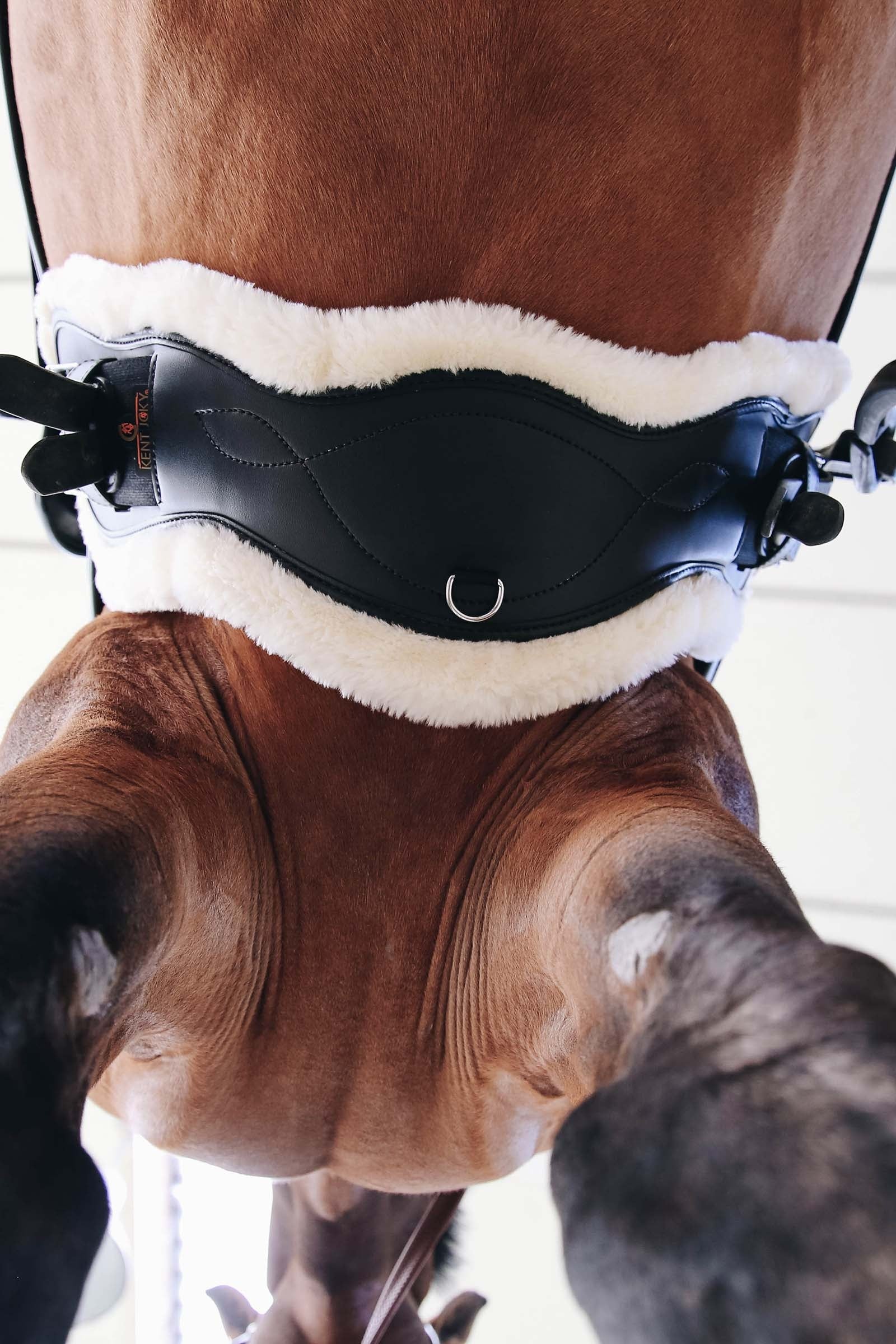 Kentucky Horsewear Sheepskin Anatomic Short Girth Cover Saddles, Girths & Stirrups