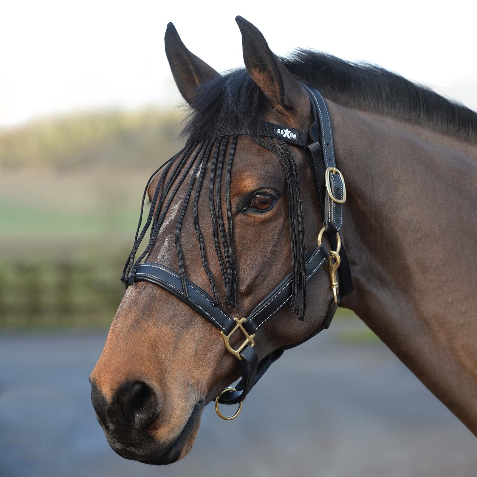 Saxon Fliegenfransen Fliegenschutz