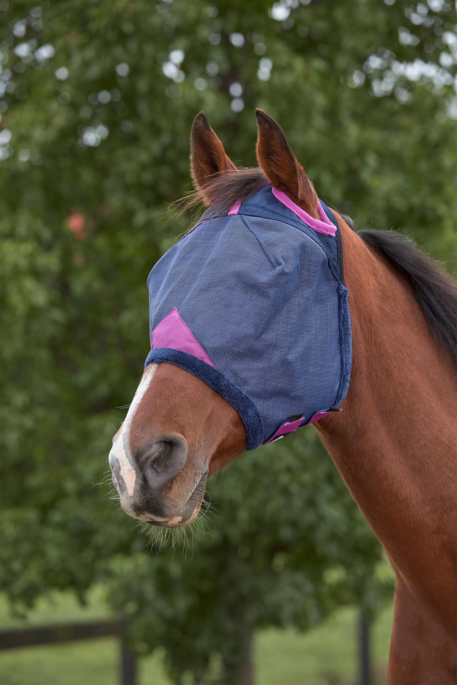 Weatherbeeta Comfitec Deluxe strapazierfähige Mesh-Maske Fliegenschutz