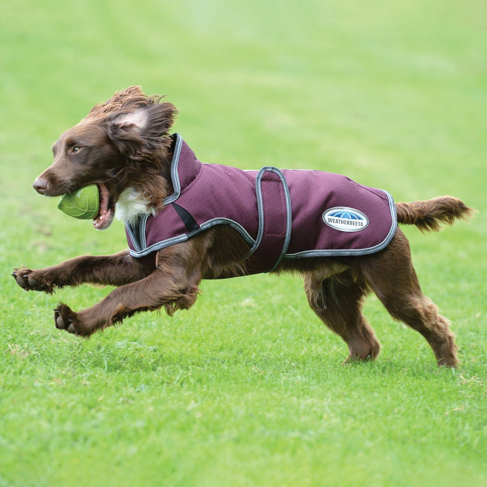 Weatherbeeta Comfitec Premier Free Parka Deluxe Dog Coat, 220g Dog Accesories