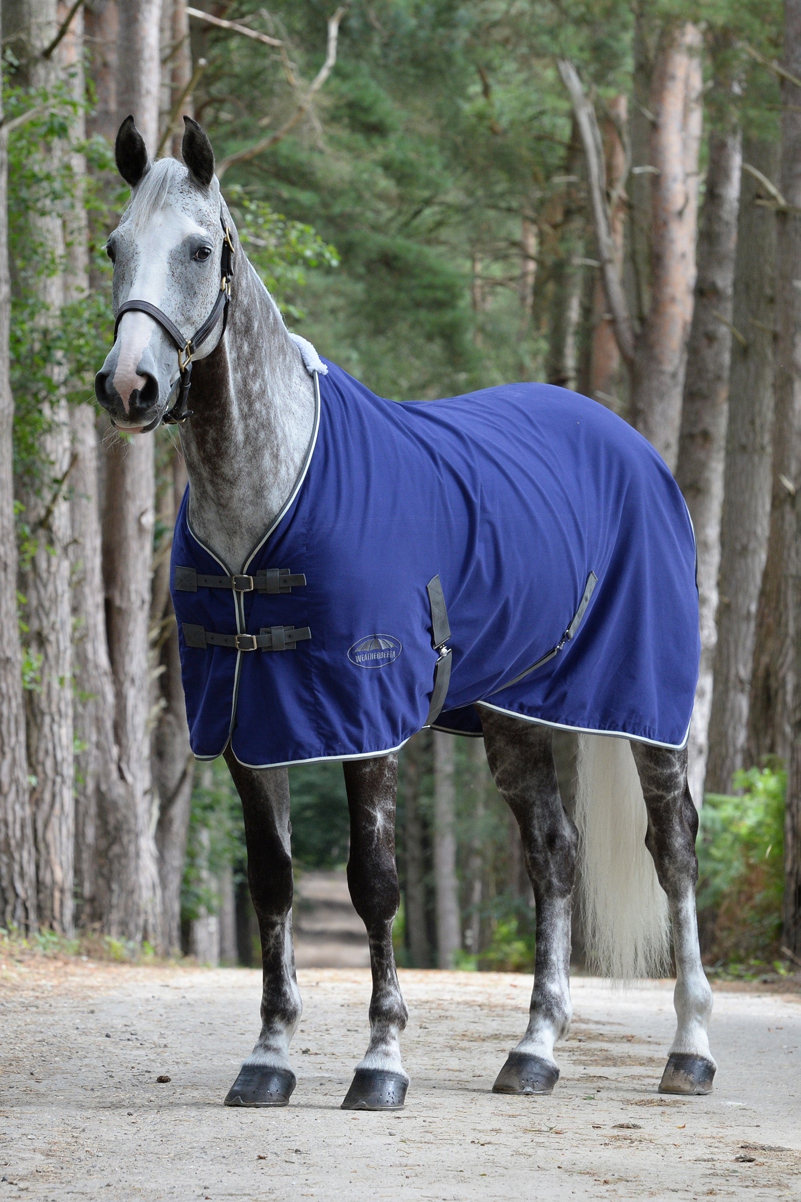 Weatherbeeta Cotton Show Rug Horse Rugs