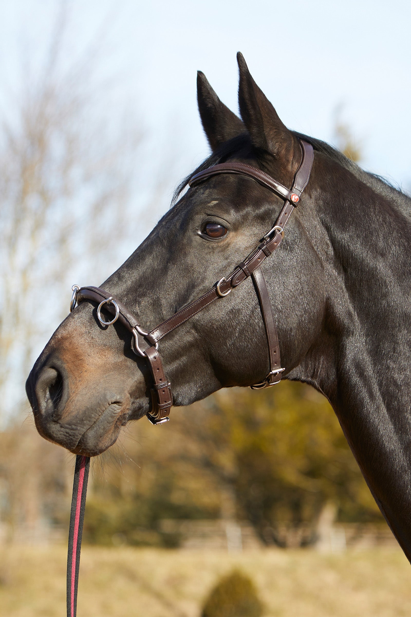 Kieffer Ultrasoft® Cavesson Horse Training