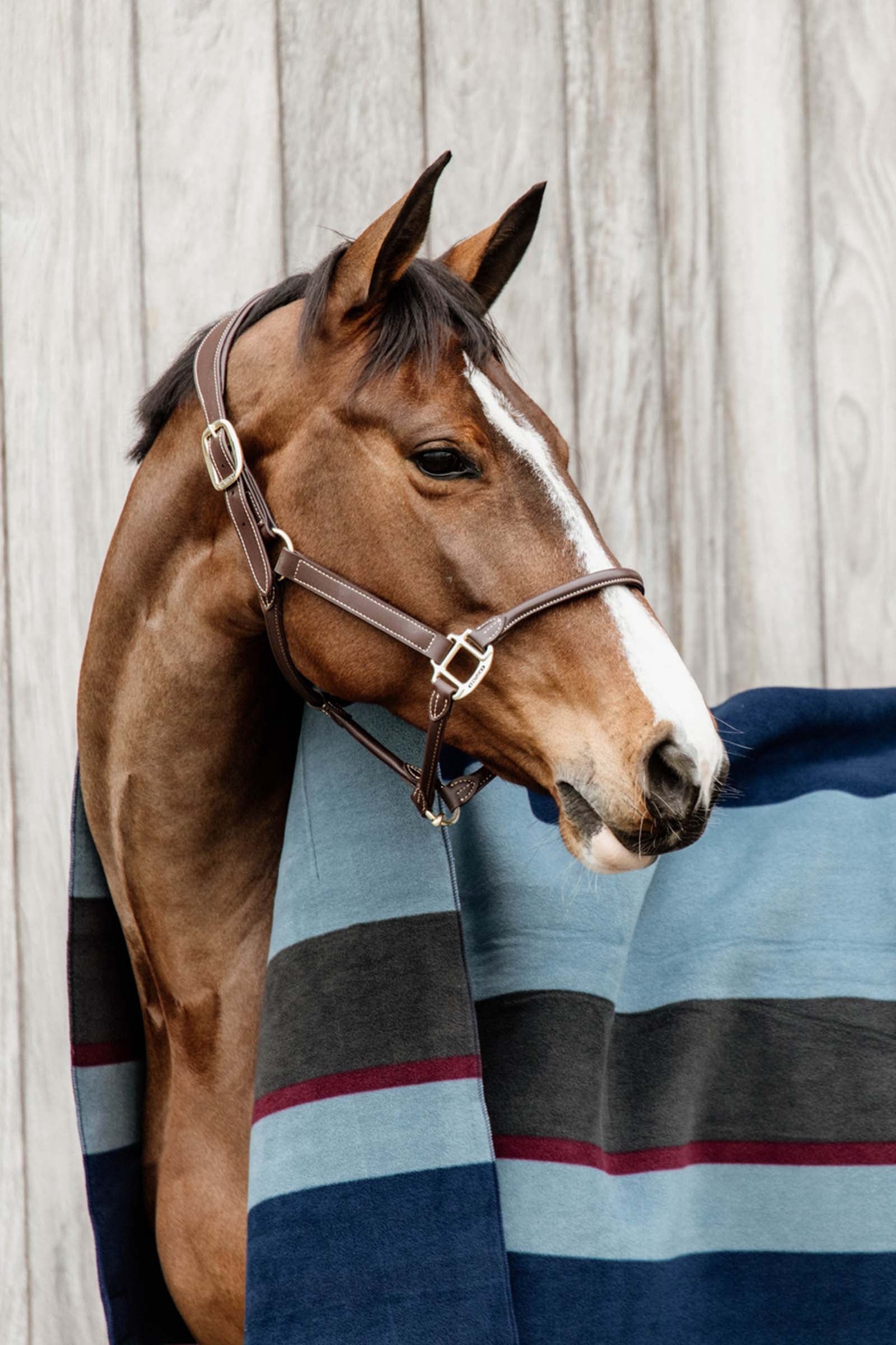 Kentucky Horsewear Heavy Fleece Rug Horse Rugs