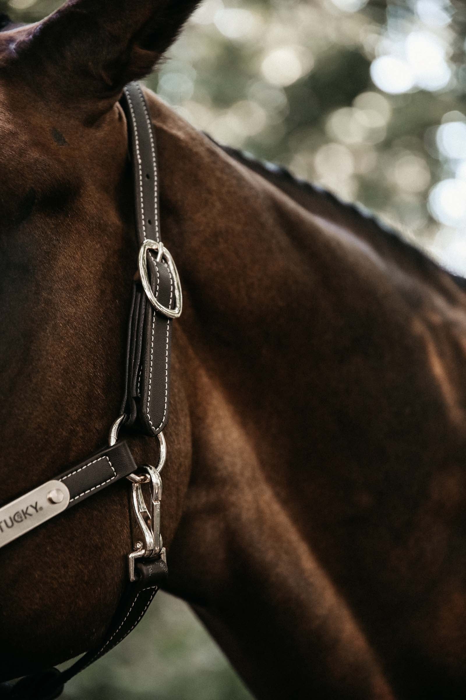 Kentucky Horsewear Neck Strap For Flexible Faux Leather Halter Halters & Leads