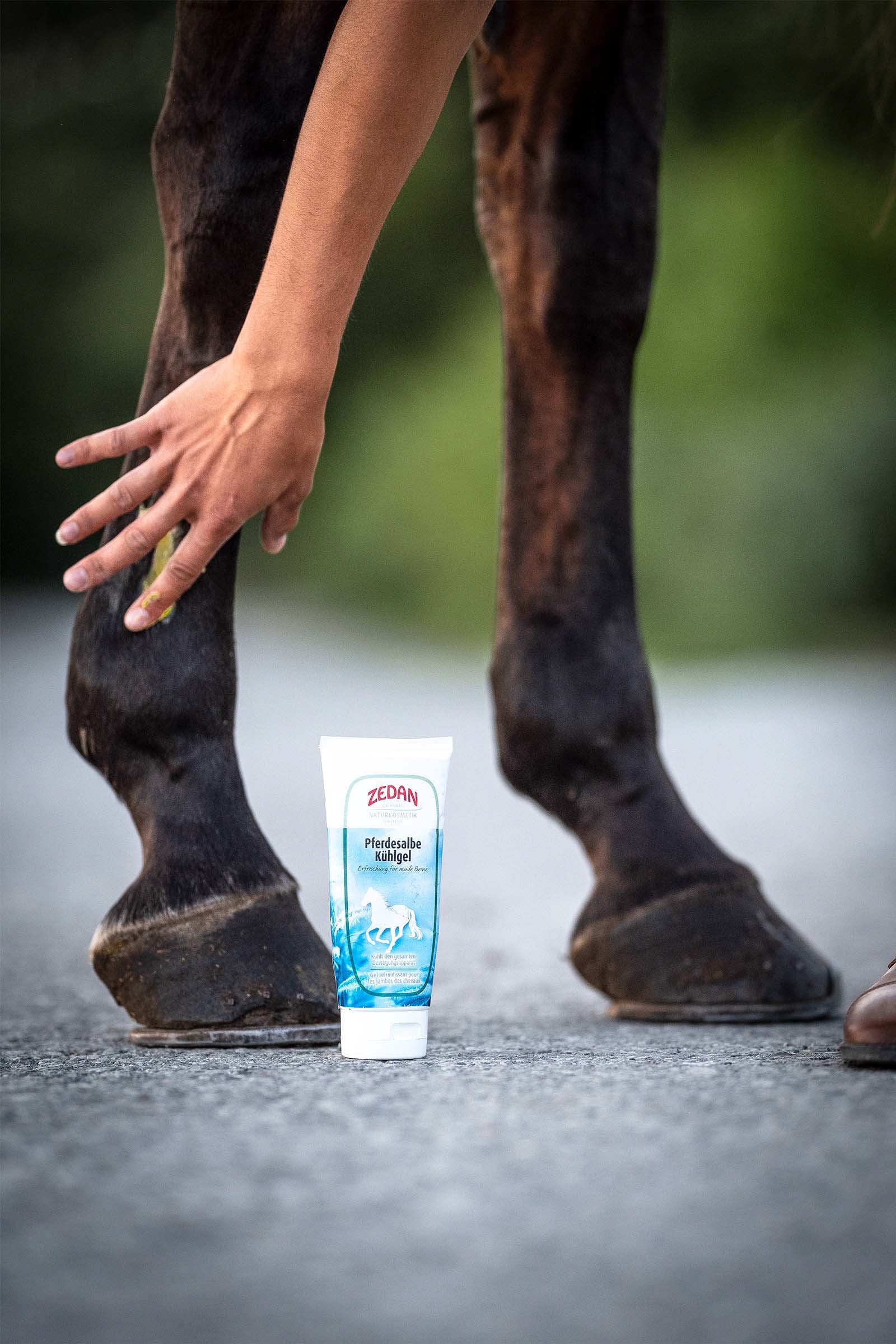 Zedan Horse Ointment Cooling Gel, 200ml Horse Health Care