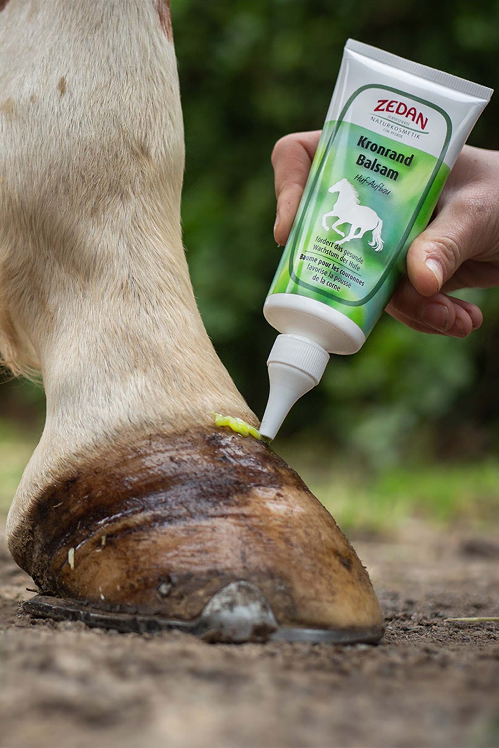 Zedan Coronet Hoof Balm, 100ml Horse Health Care