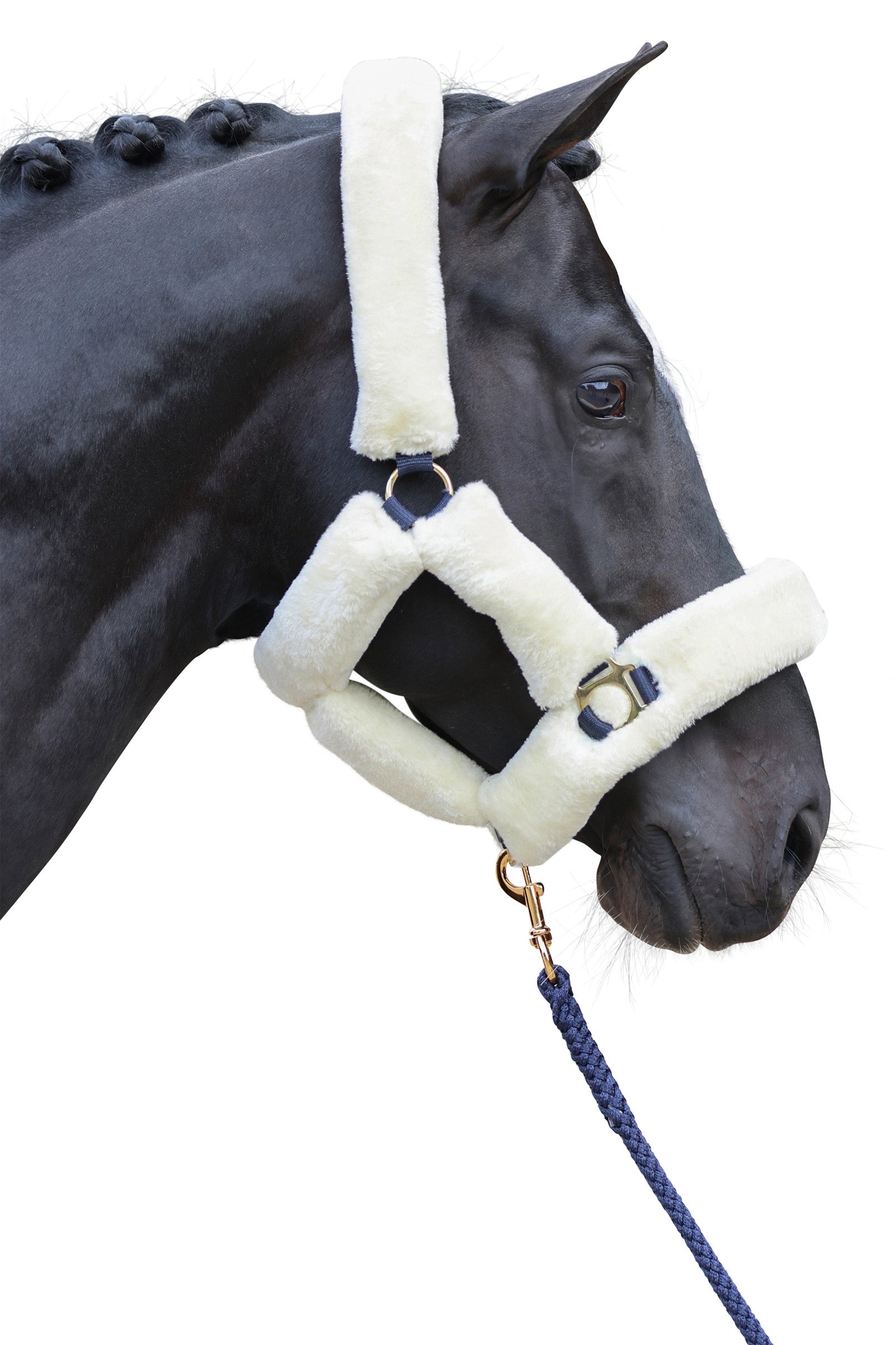 Covalliero SuperSoft Halfter Halfter & Stricke