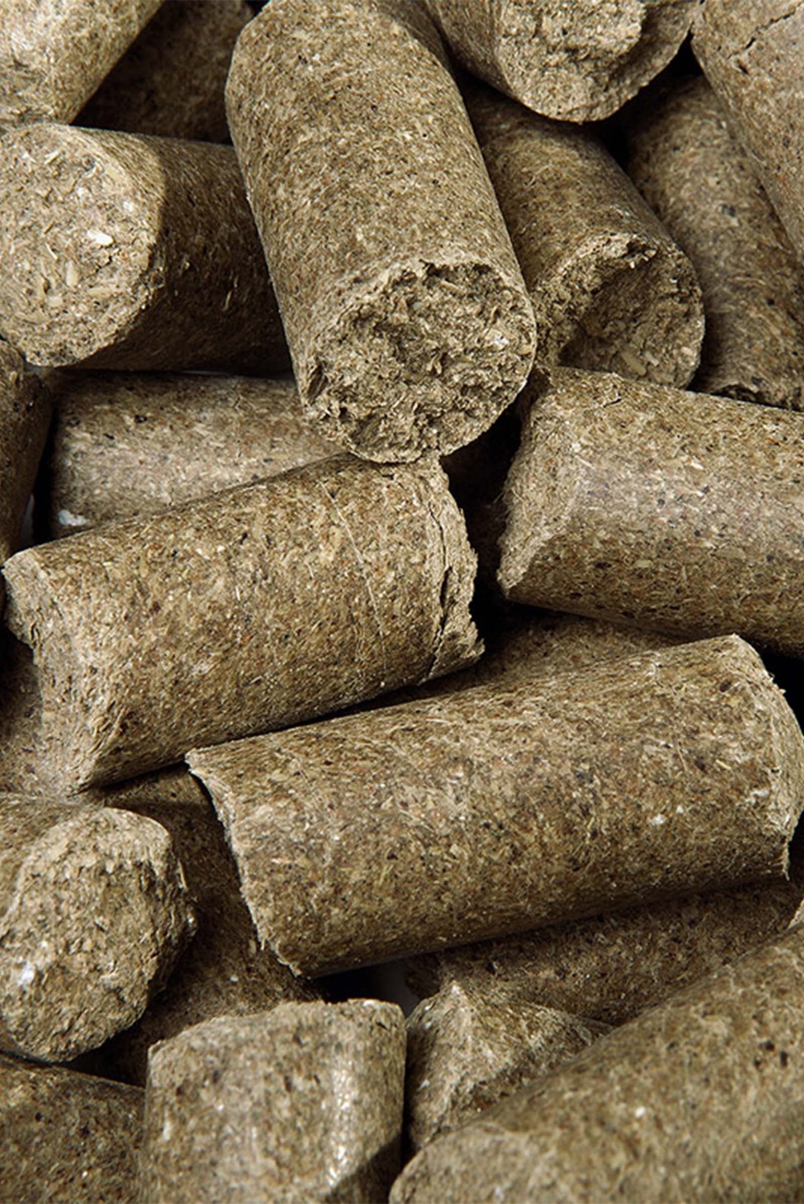 Speed Eucalyptus Delicious Speedies, Treats, 5kg Horse Feed & Nutrition