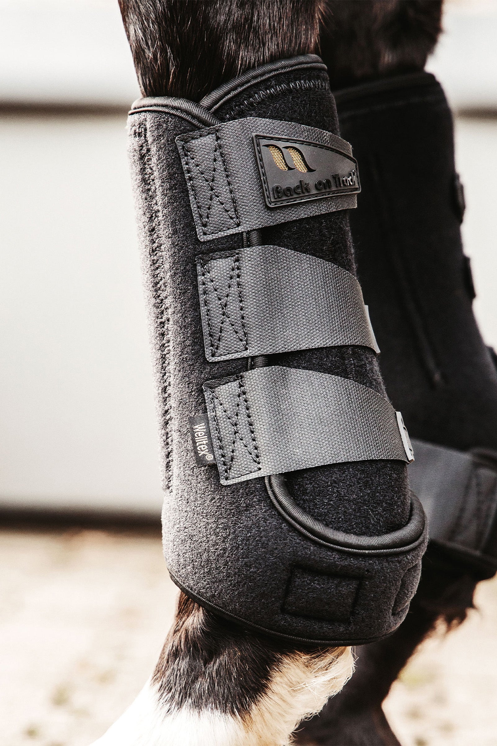 Back on Track Airflow Exercise Boots Leg Protection & Hoof Protection for Horses