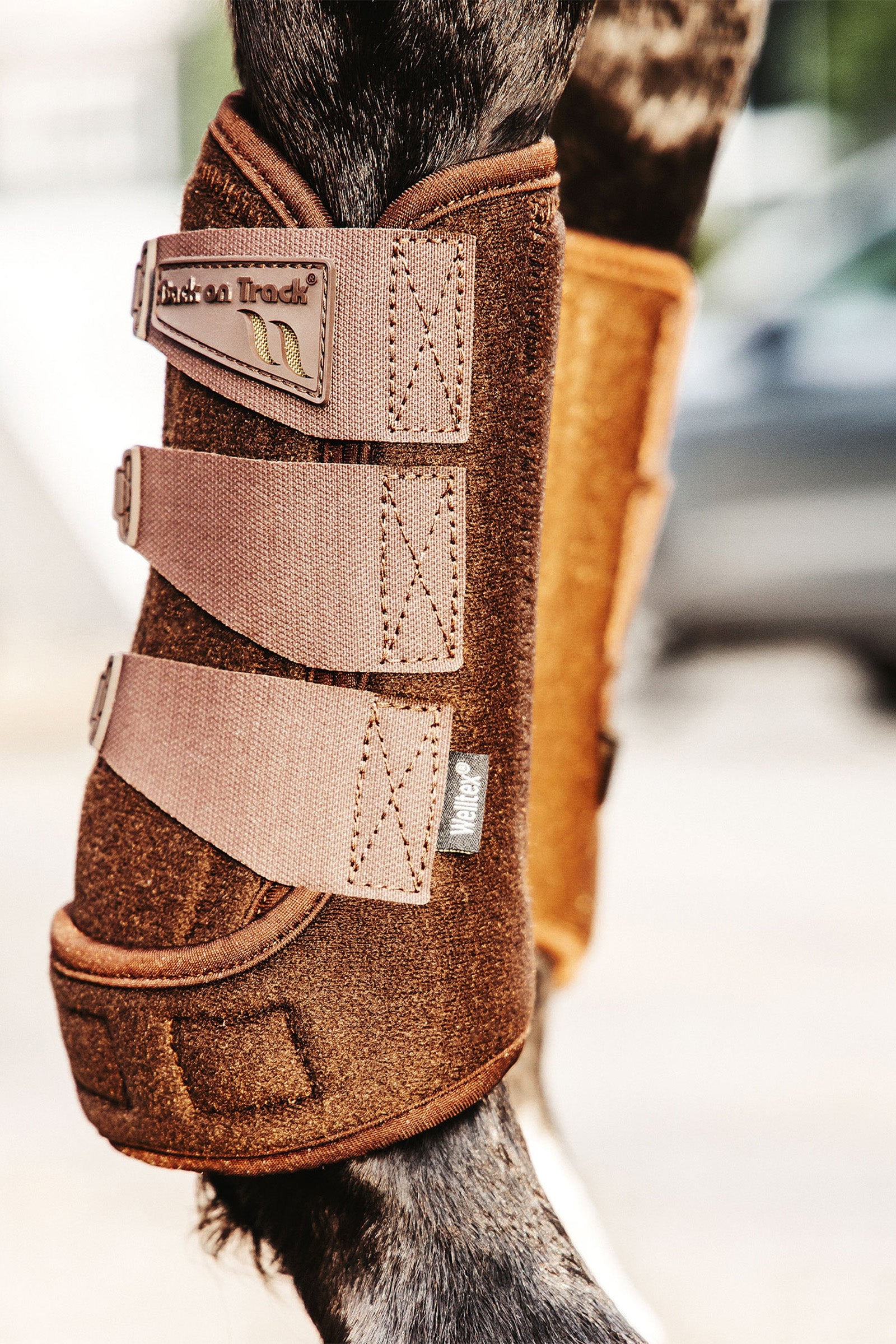 Back on Track Airflow Exercise Boots Leg Protection & Hoof Protection for Horses